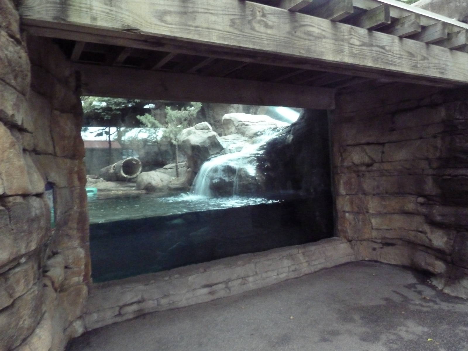 Children's Zoo - North American River Otter Exhibit
