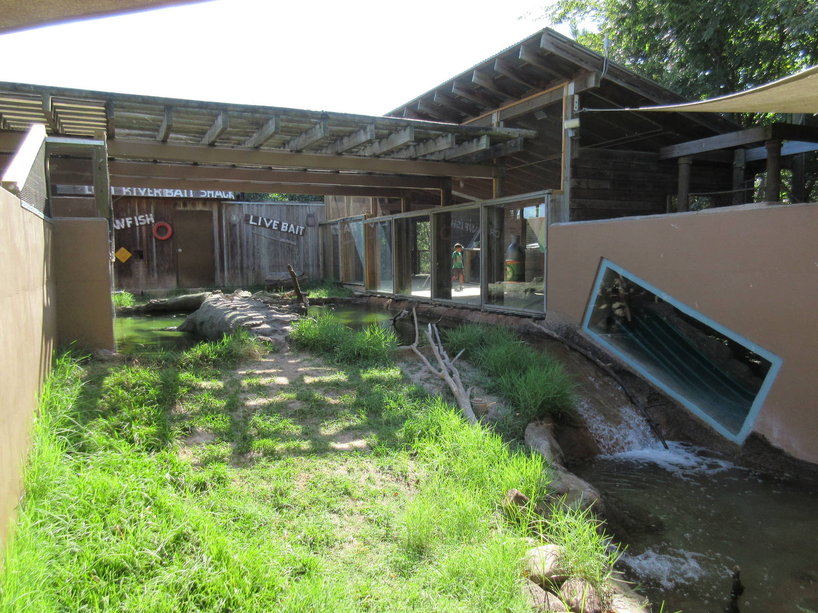Children's Zoo - North American River Otter Exhibit