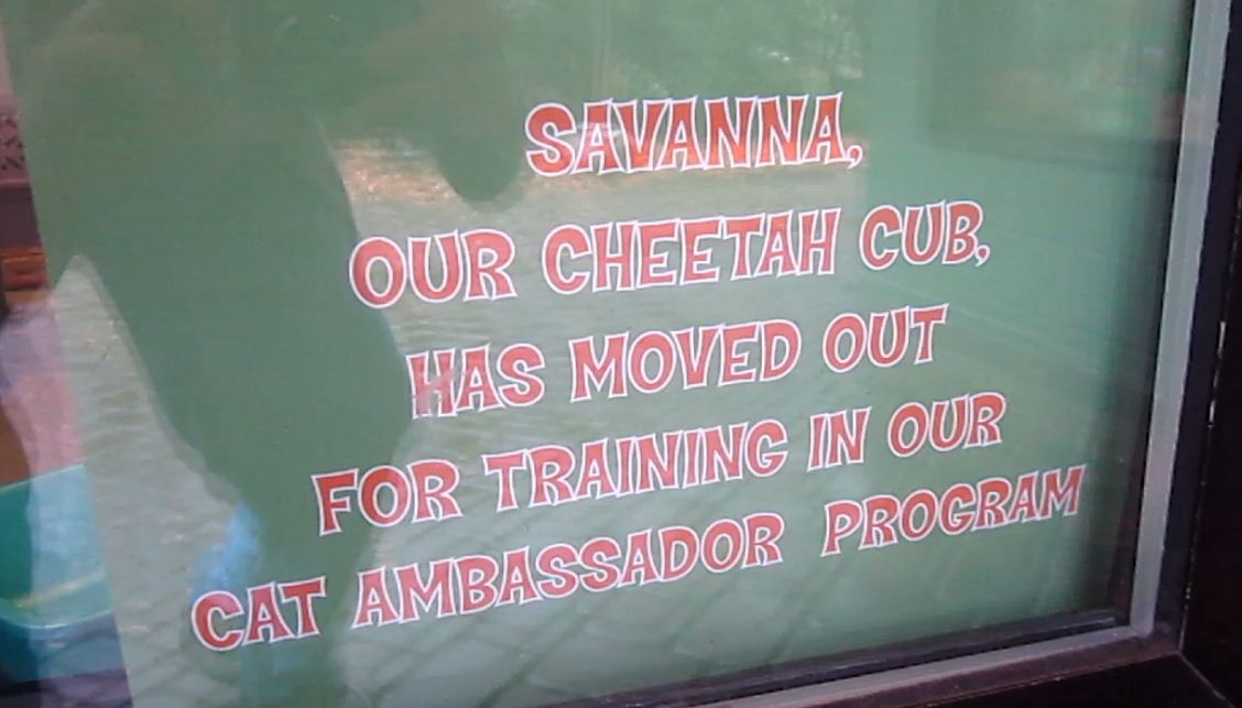 Children's Zoo-Nursery-Cheetah sign