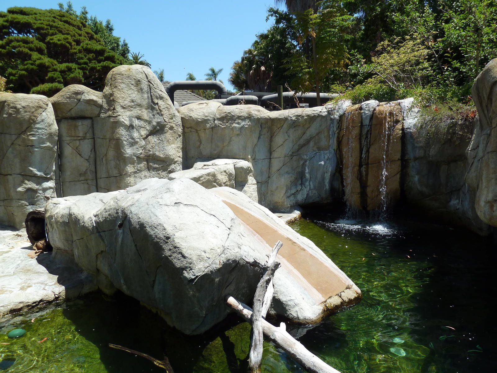 Children's Zoo - Otter Exhibit (2 Species)