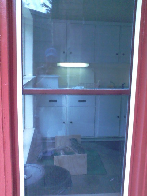 Childrens Zoo- Part of the Tawny Frogmouth area