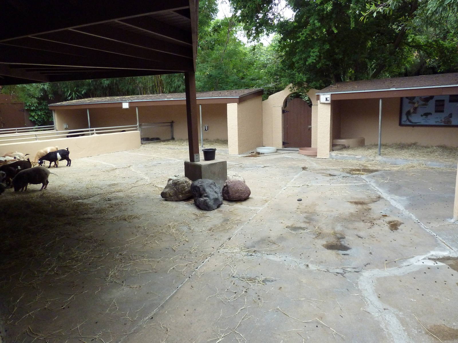 Children's Zoo - Petting Yard