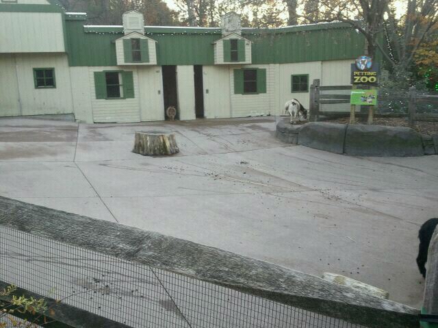Children's Zoo-Petting Zoo