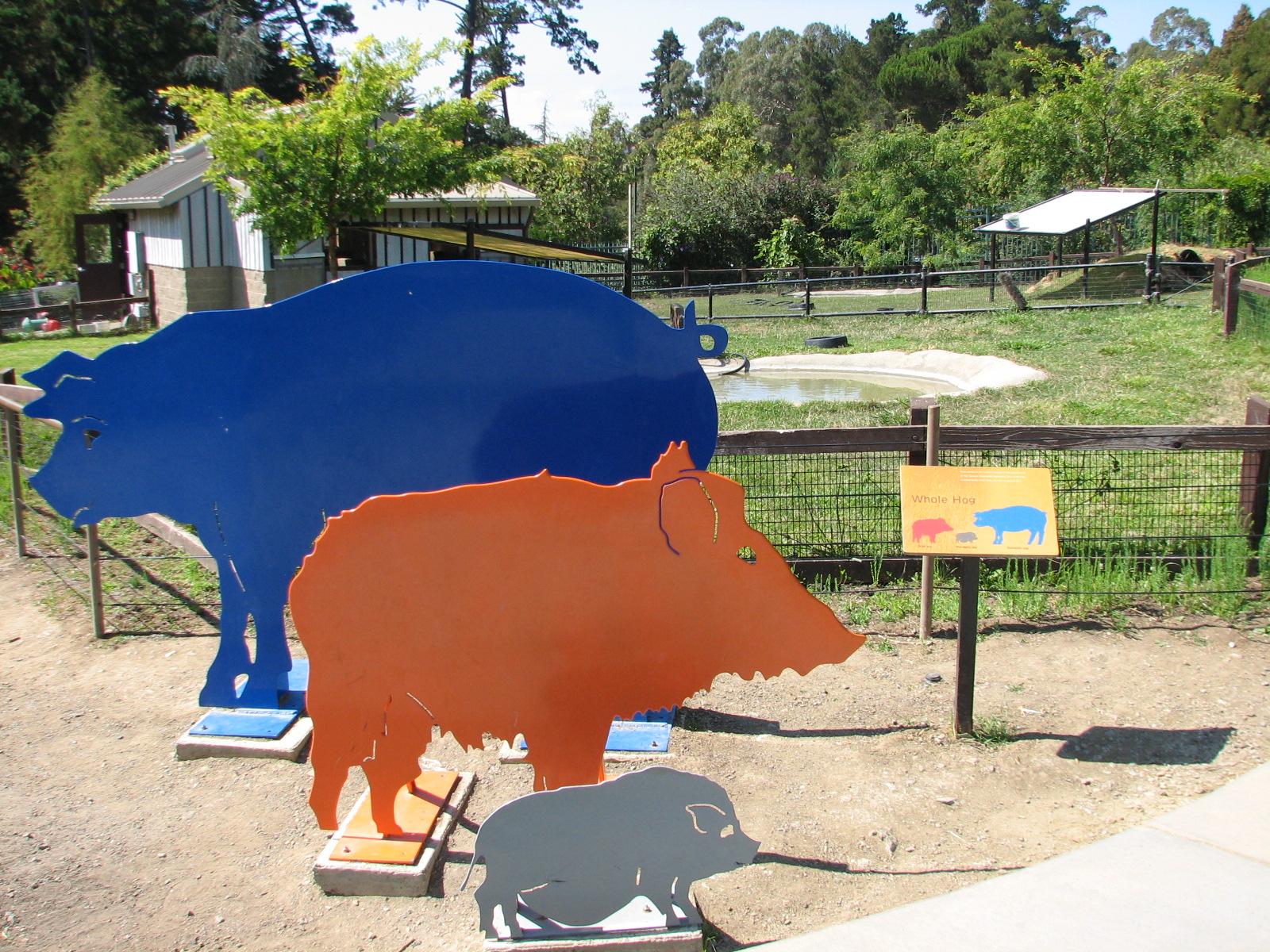 Childrens Zoo - Pig Exhibit