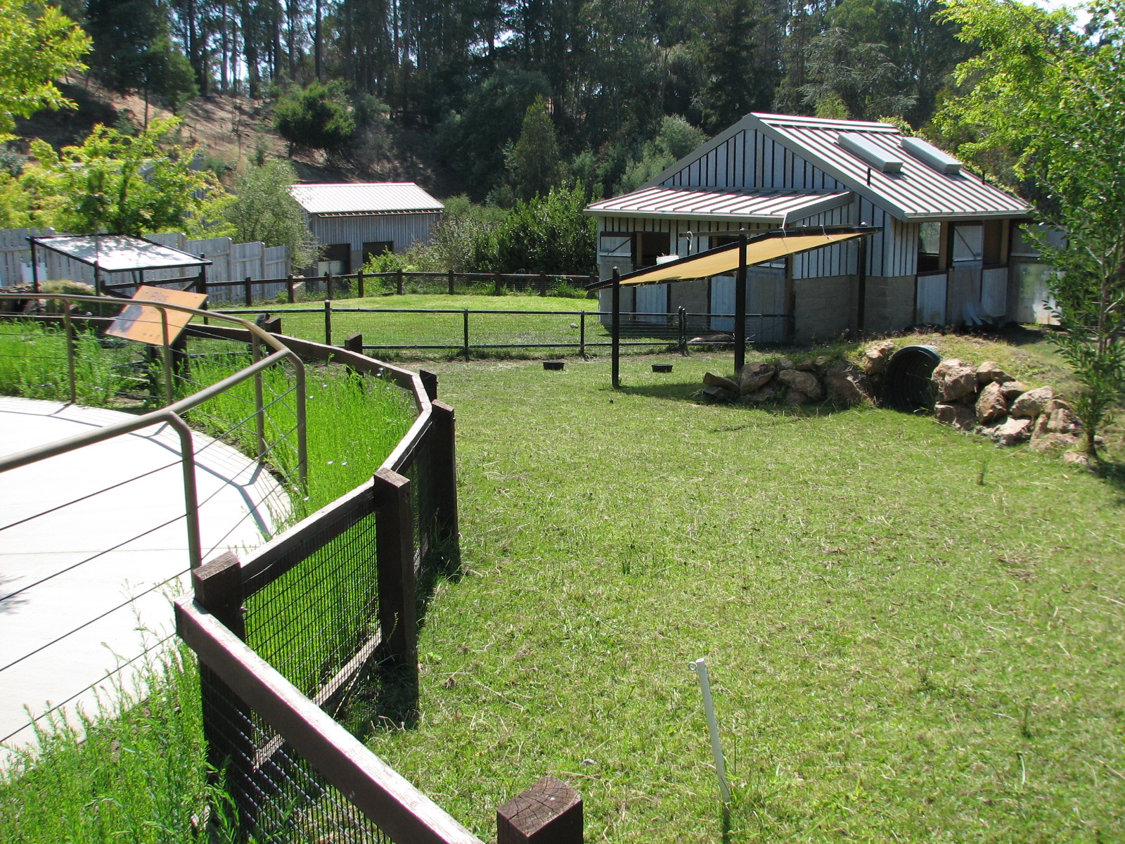 Childrens Zoo - Pig Exhibit