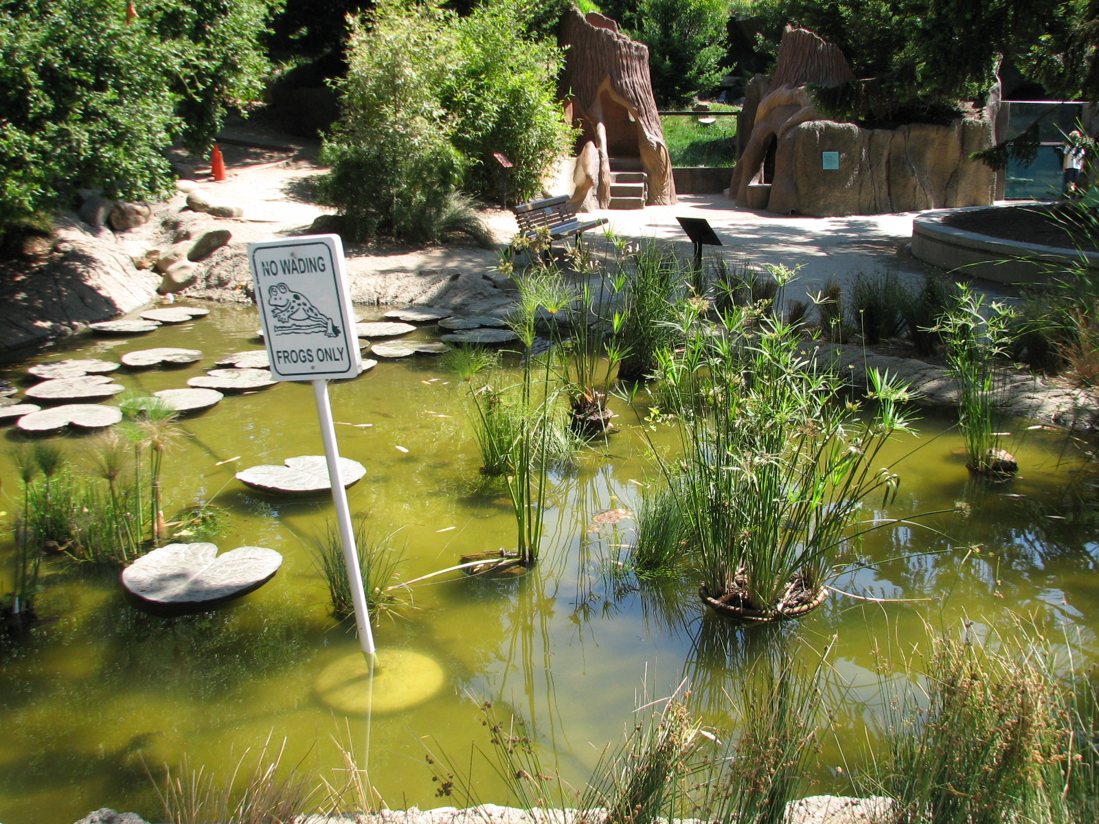 Childrens Zoo - Pond with Lily Pad Walkway