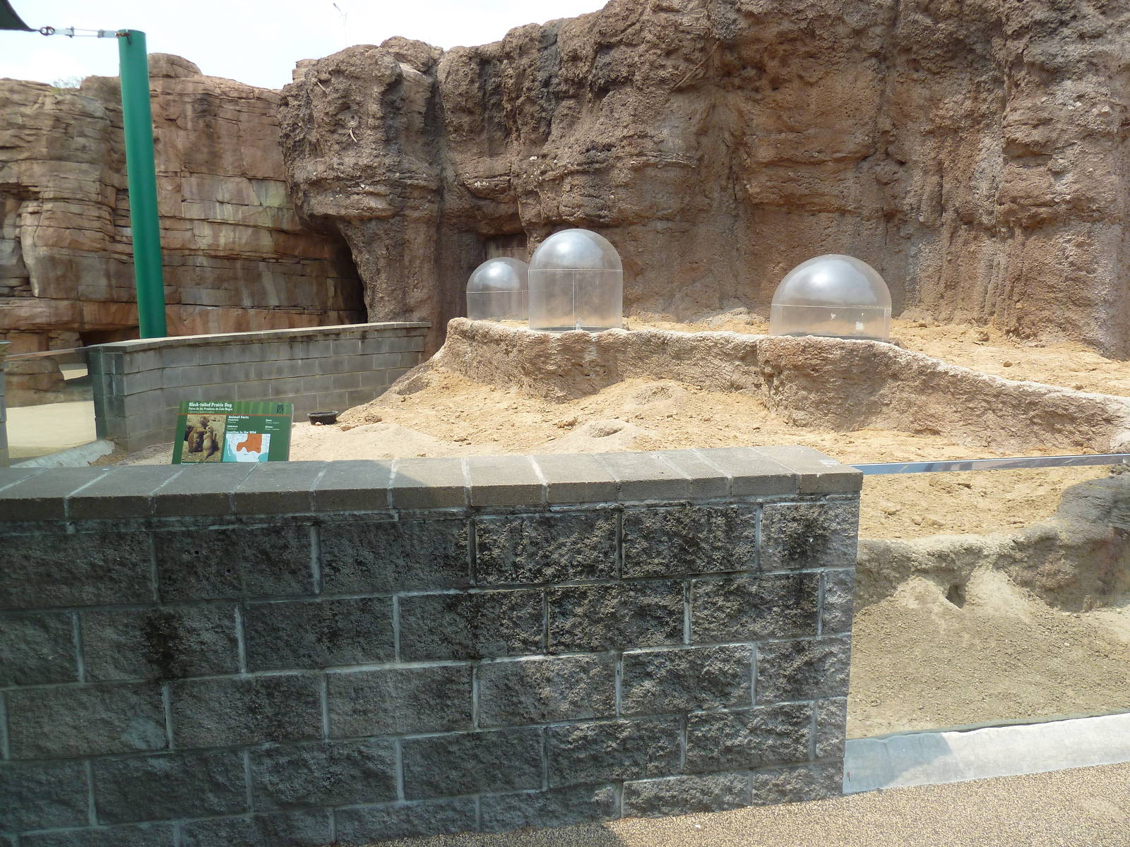 Children's Zoo - Prairie Dog Exhibit