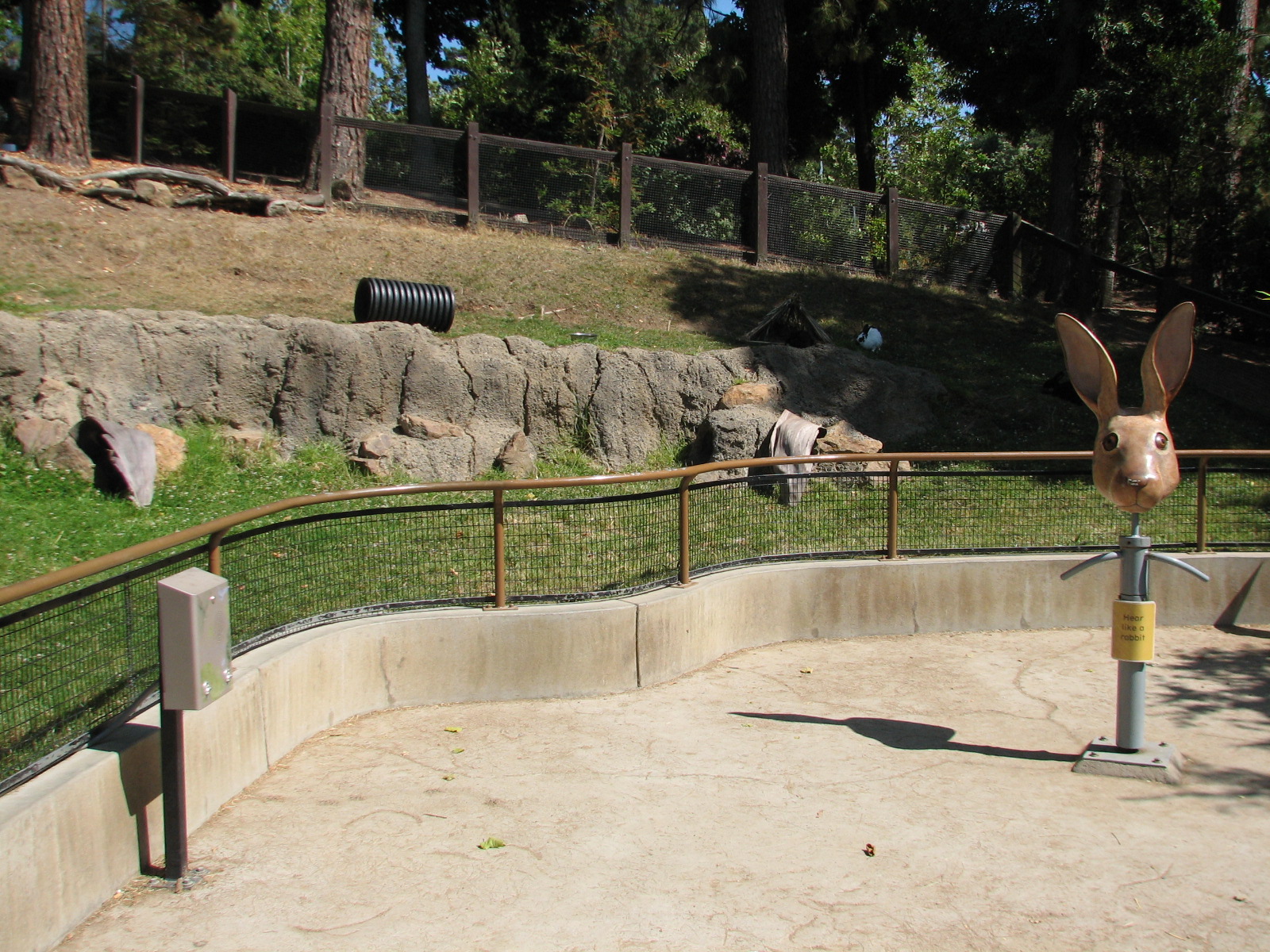Childrens Zoo - Rabbit Exhibit