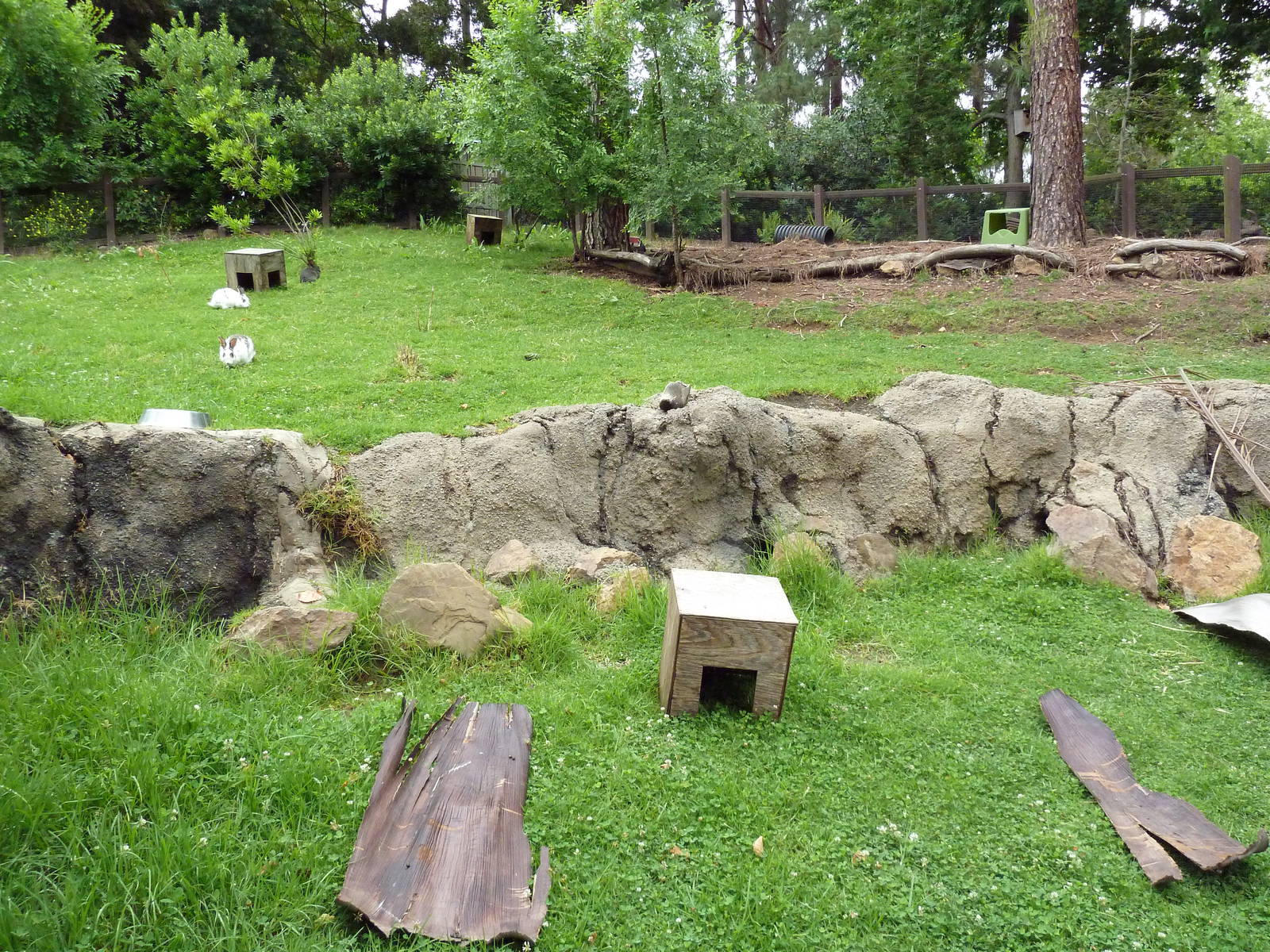 Children's Zoo - Rabbit Exhibit