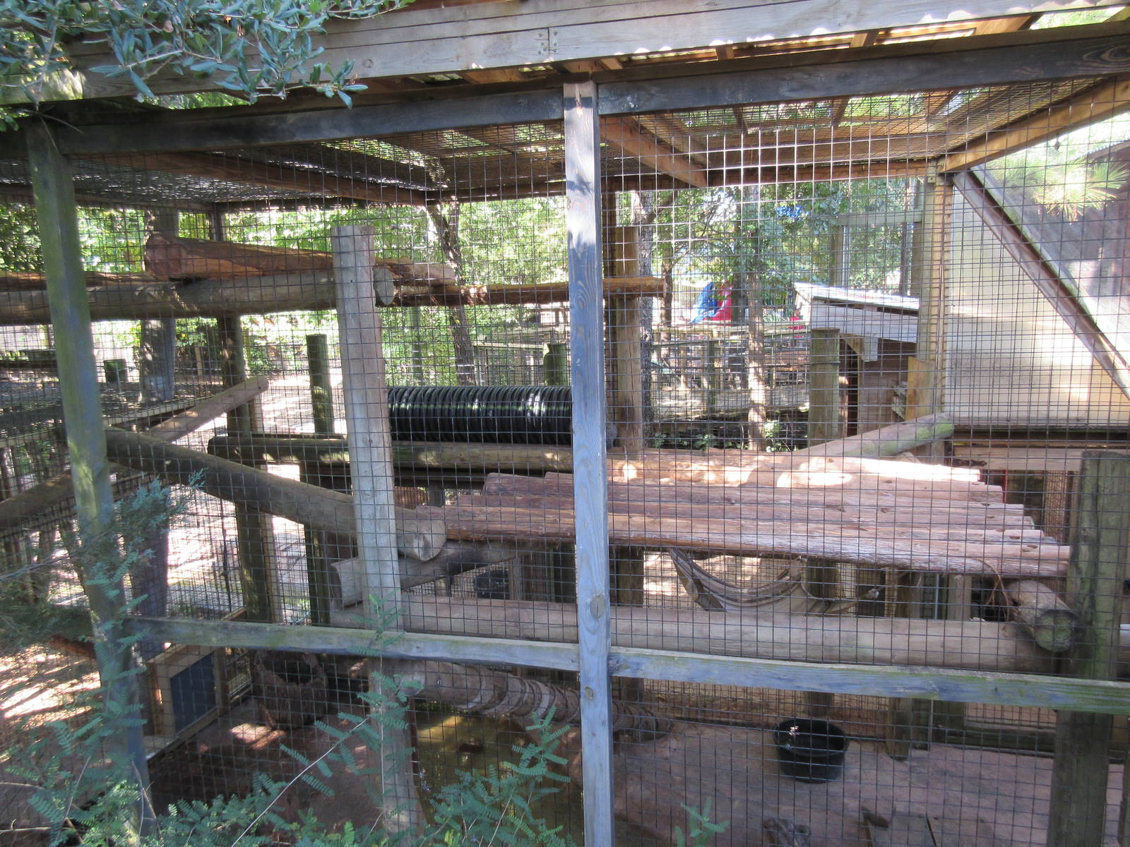 Children's Zoo - Raccoon Exhibit