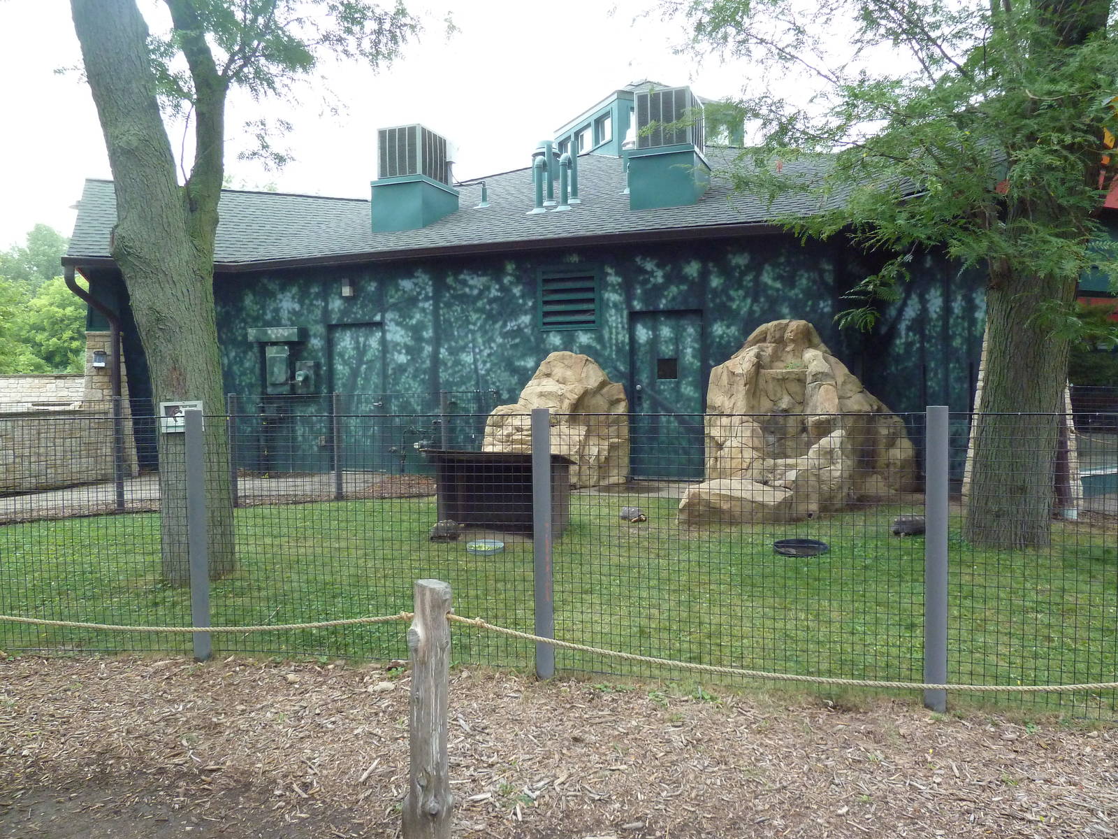 Children's Zoo - Red-Footed Tortoise Exhibit