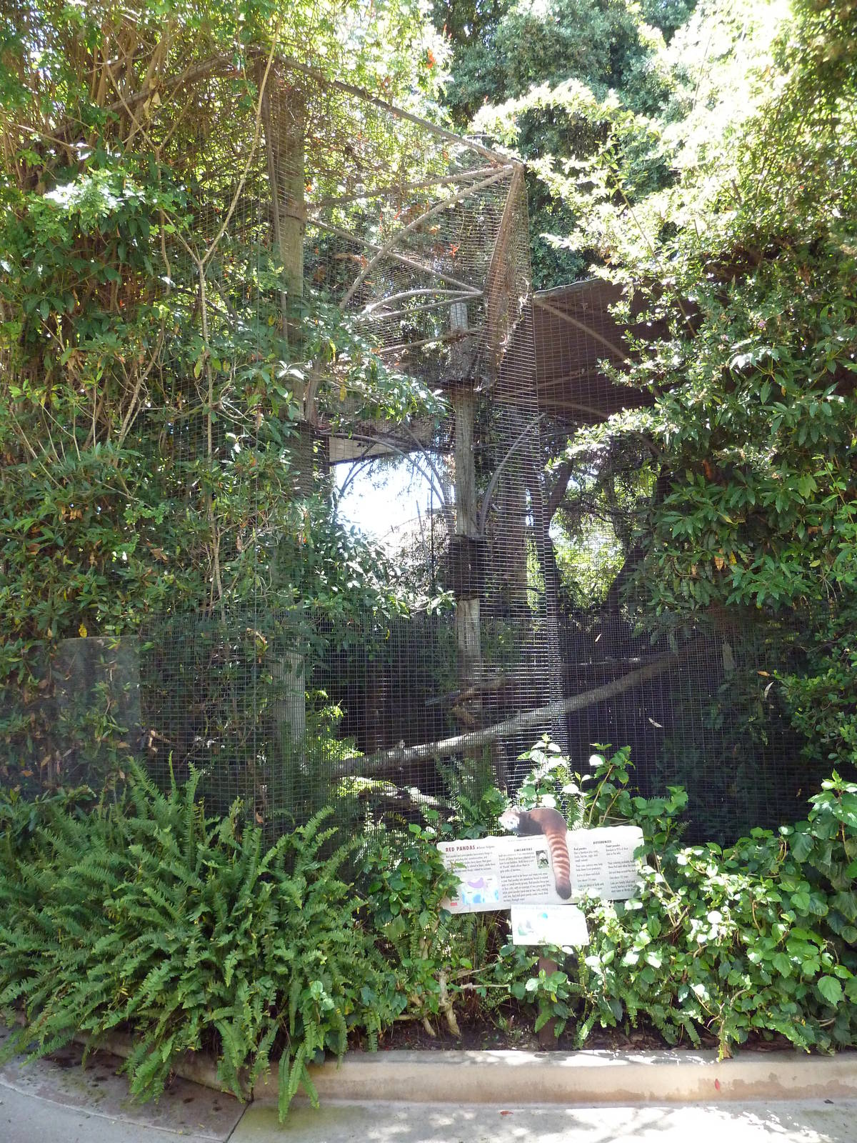 Children's Zoo - Red Panda Exhibit