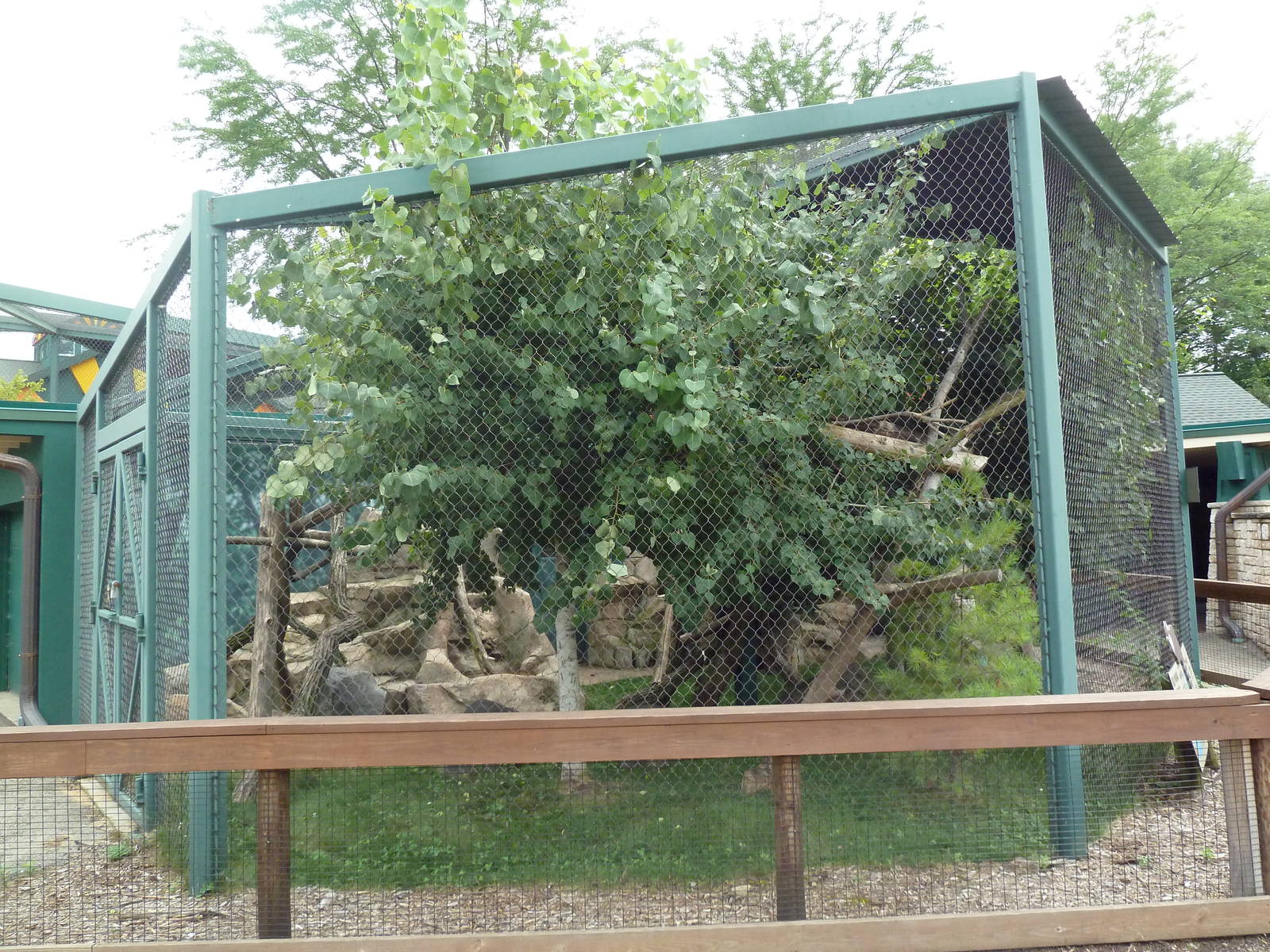 Children's Zoo - Red Panda Exhibit