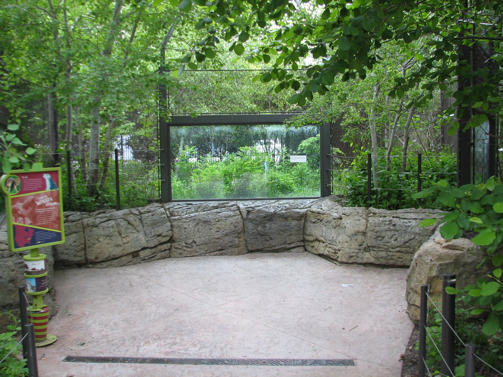 Childrens Zoo - Red Wolf Exhibit Viewing Area