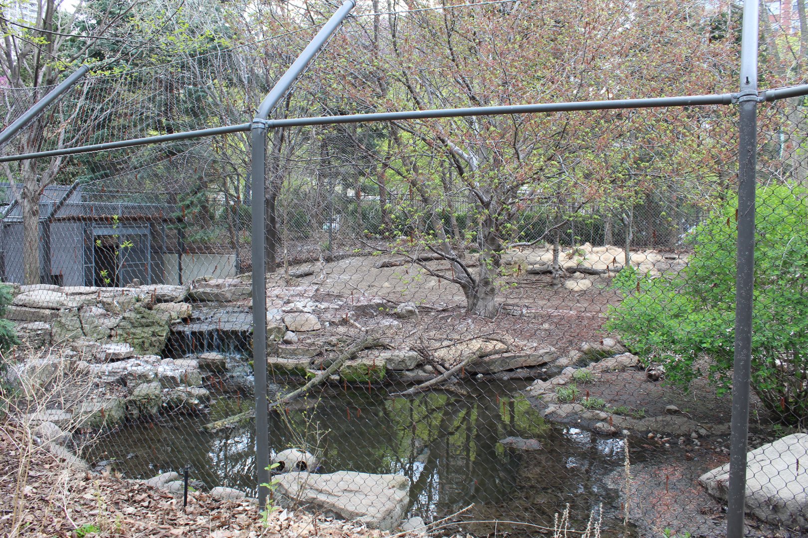 Children's Zoo - Red Wolf Exhibit