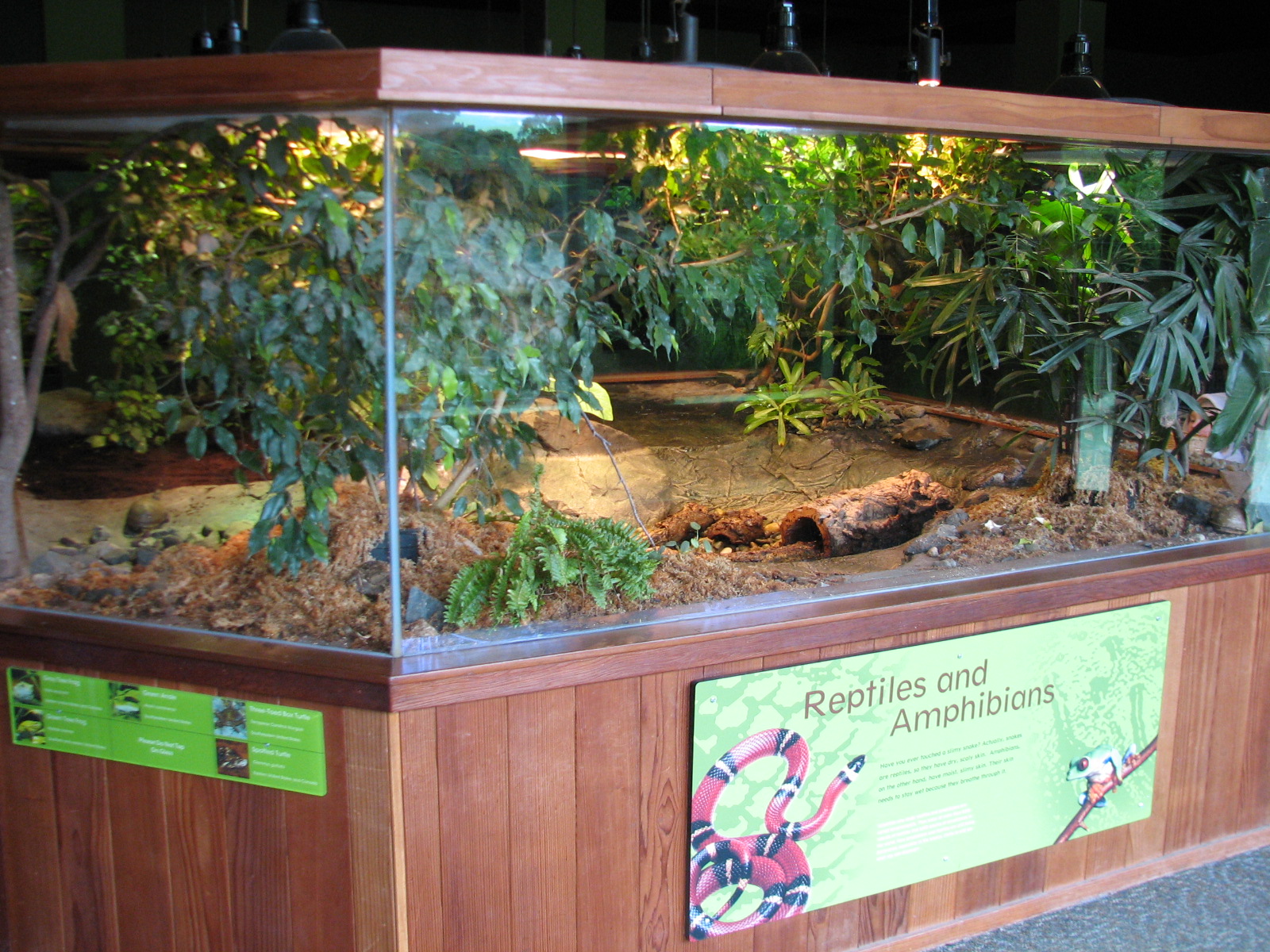 Childrens Zoo - Reptile and Amphibian House - North American Southeast Exhi