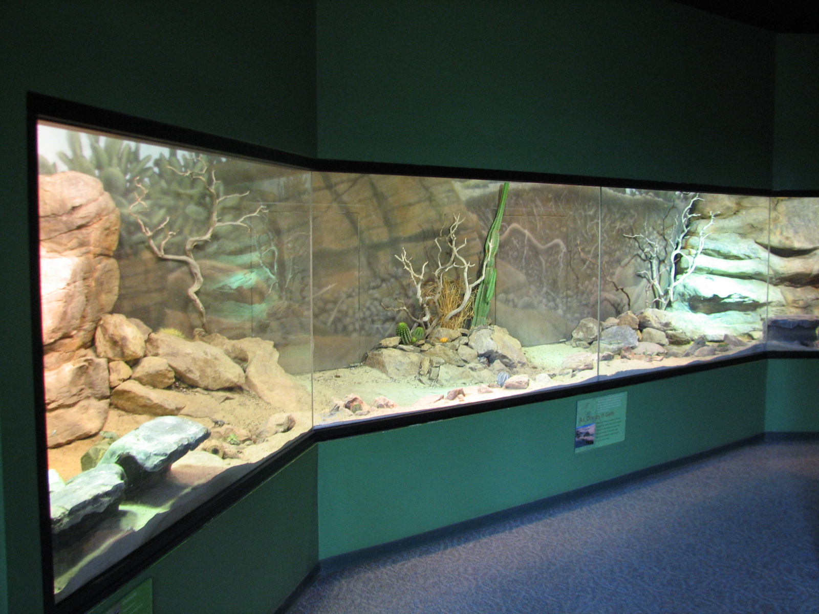 Childrens Zoo - Reptile and Amphibian House - North American Southwest Exhi