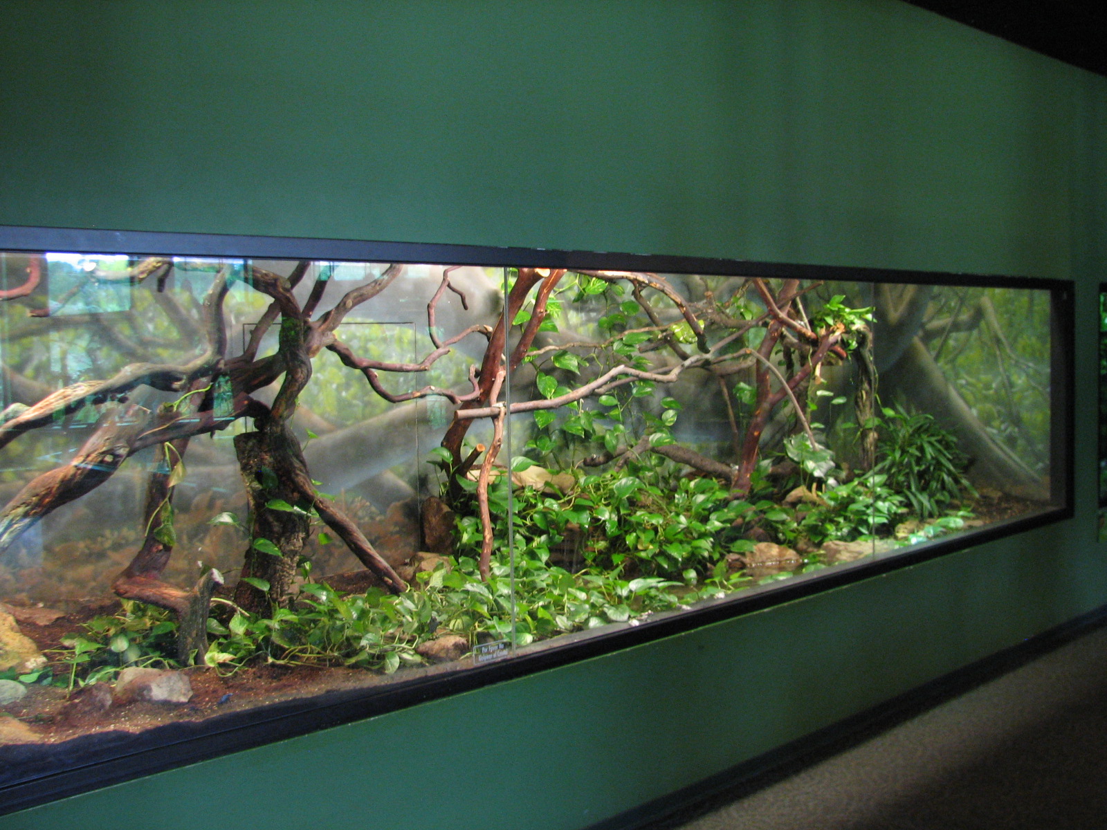 Childrens Zoo - Reptile and Amphibian House - South American Exhibit