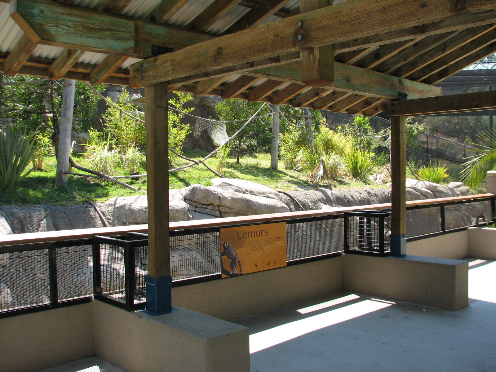 Childrens Zoo - Ring-tailed and Blue-eyed Black Lemurs Exhibit - Viewing Ar