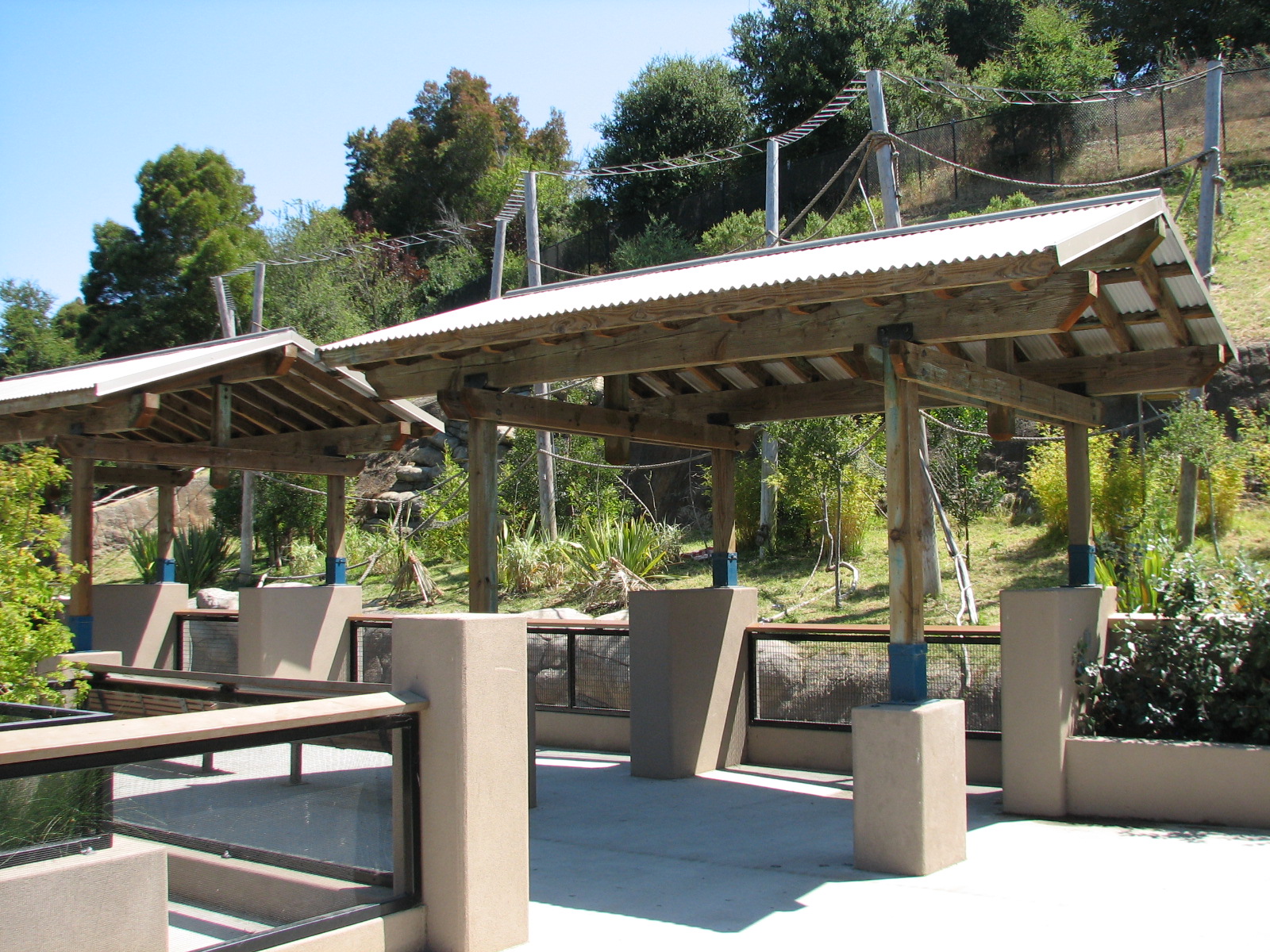 Childrens Zoo - Ring-tailed and Blue-eyed Black Lemurs Exhibit - Viewing Ar