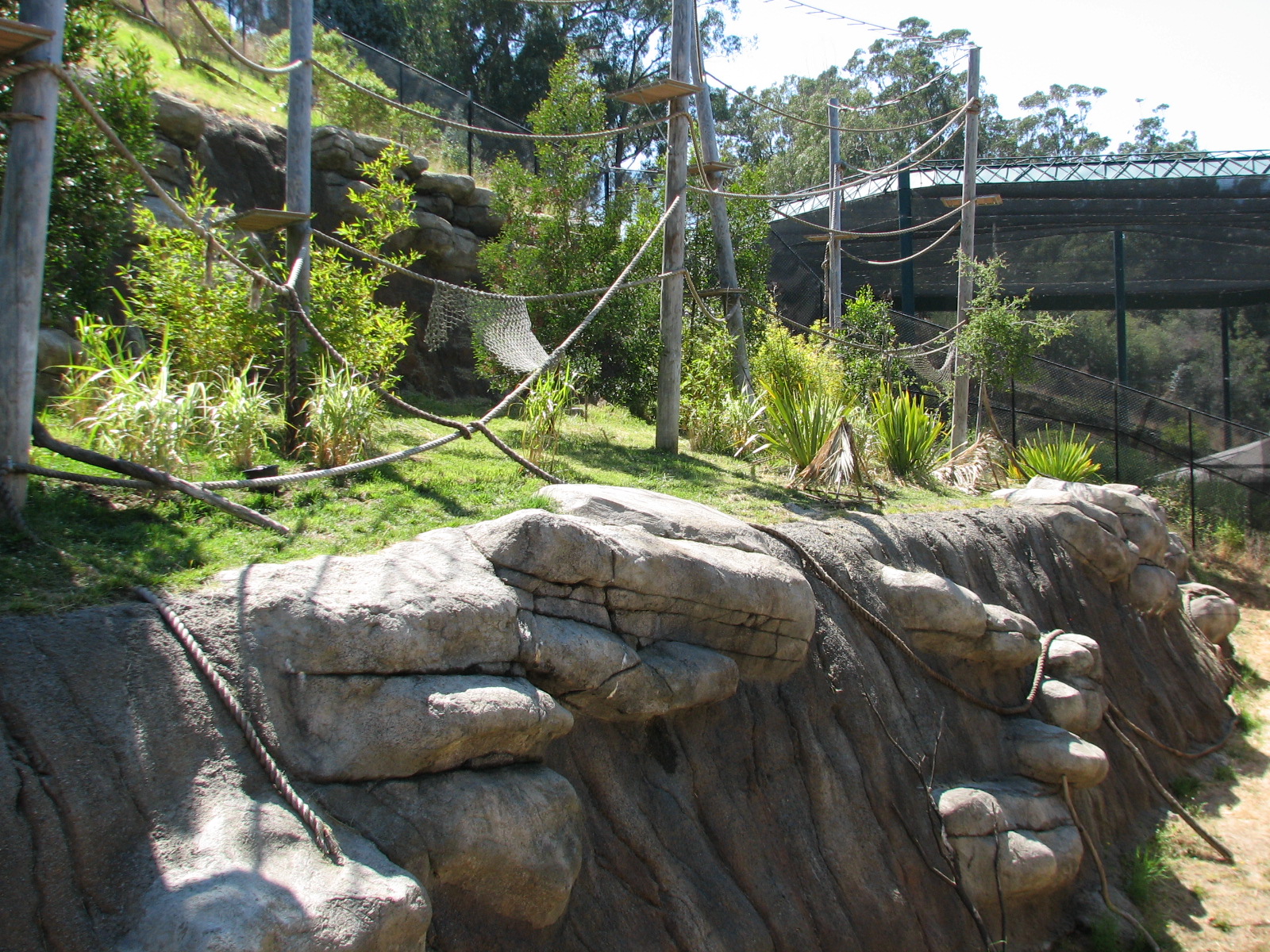 Childrens Zoo - Ring-tailed and Blue-eyed Black Lemurs Exhibit