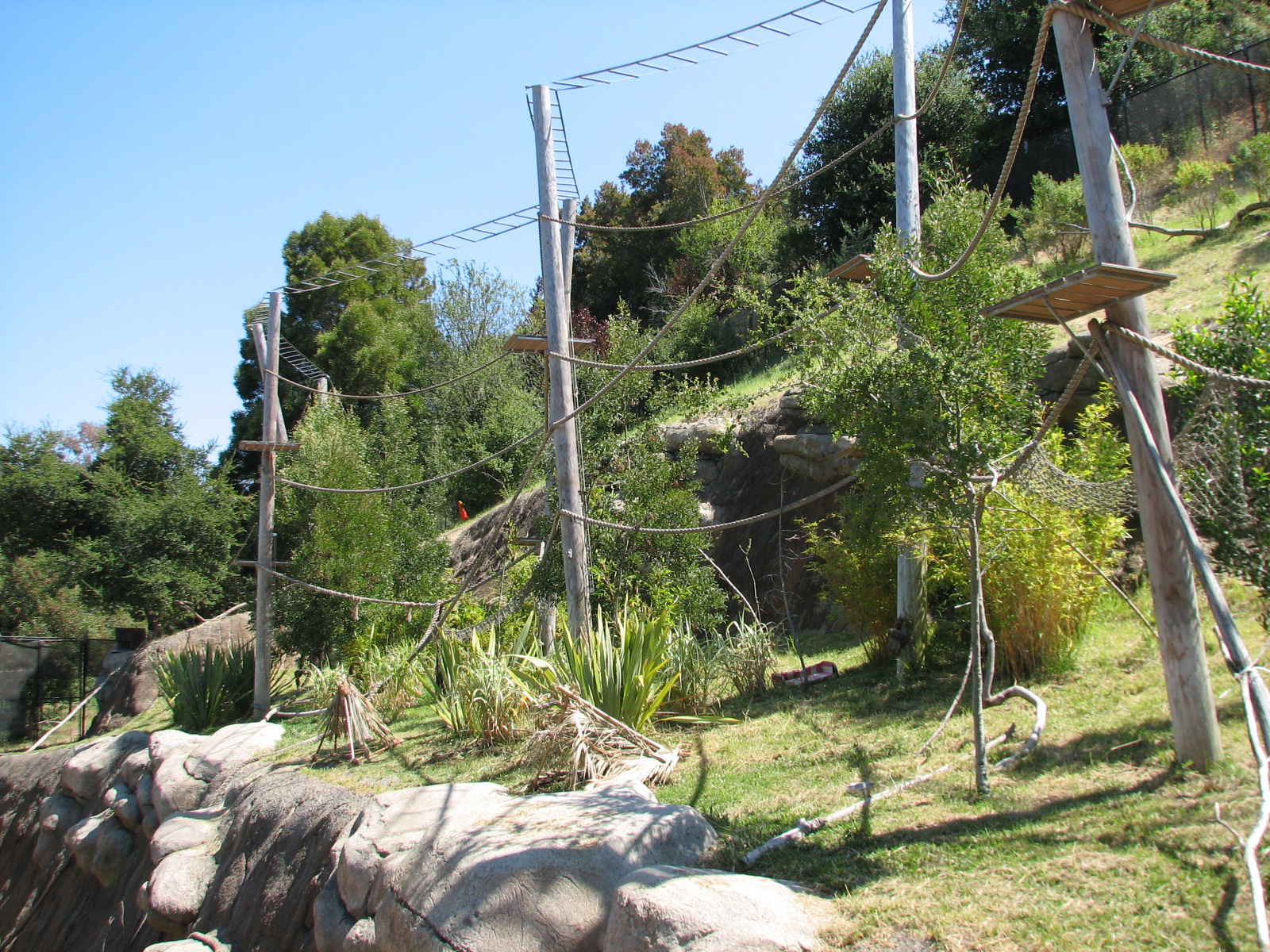 Childrens Zoo - Ring-tailed and Blue-eyed Black Lemurs Exhibit