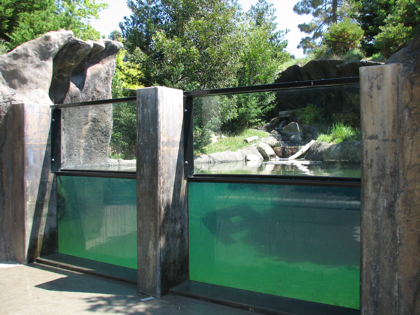 Childrens Zoo - River Otter Exhibit - Underwater Viewing Area