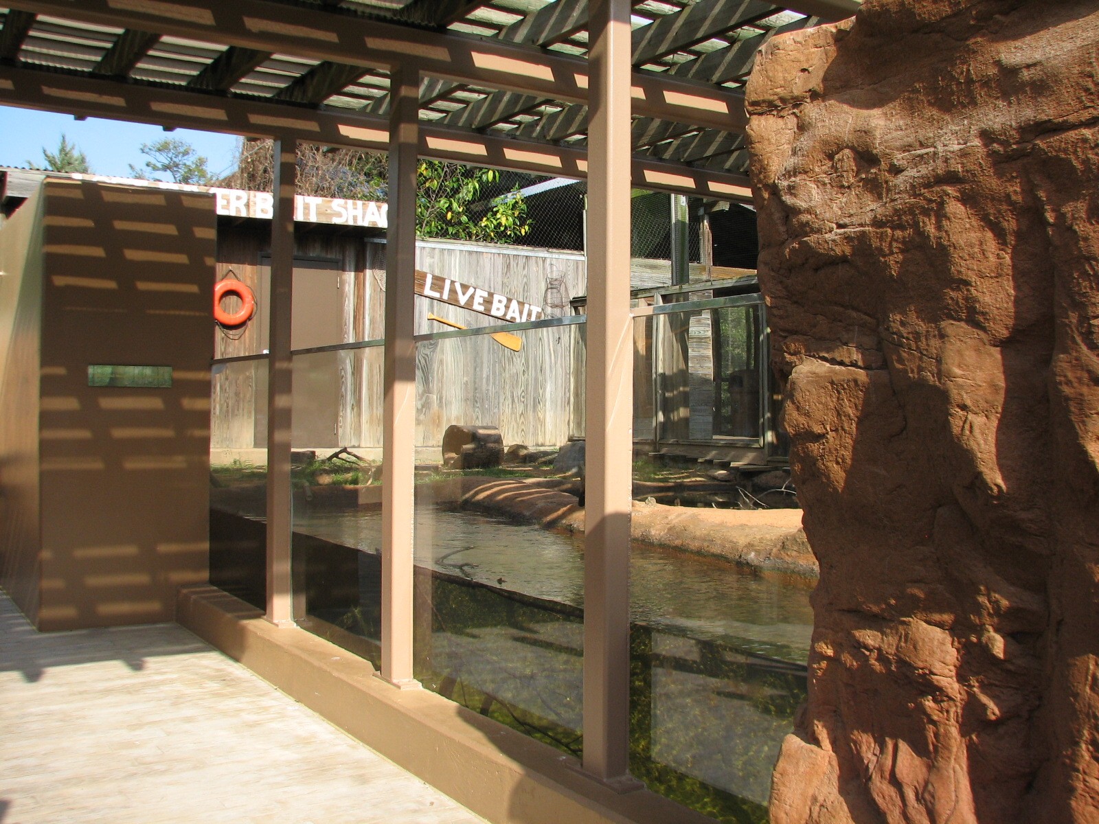 Childrens Zoo - River Otter Exhibit Underwater Viewing Area