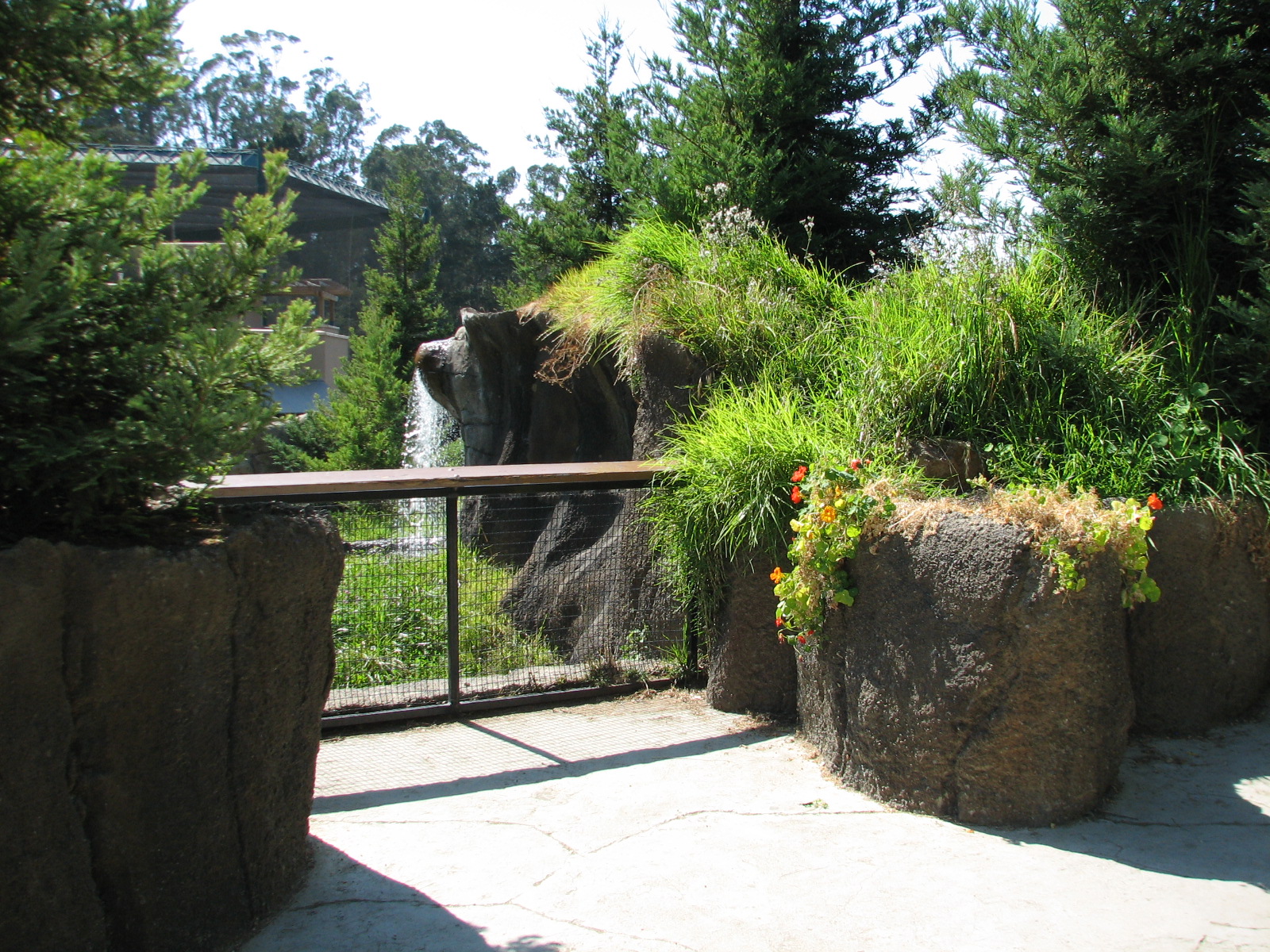 Childrens Zoo - River Otter Exhibit - Viewing Area