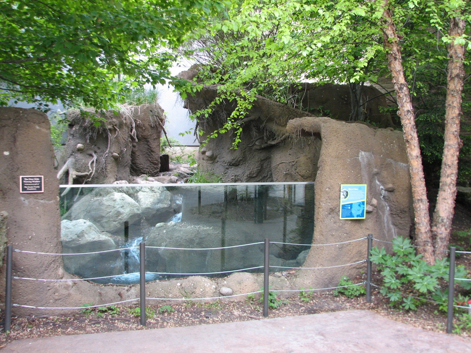 Childrens Zoo - River Otter Exhibit