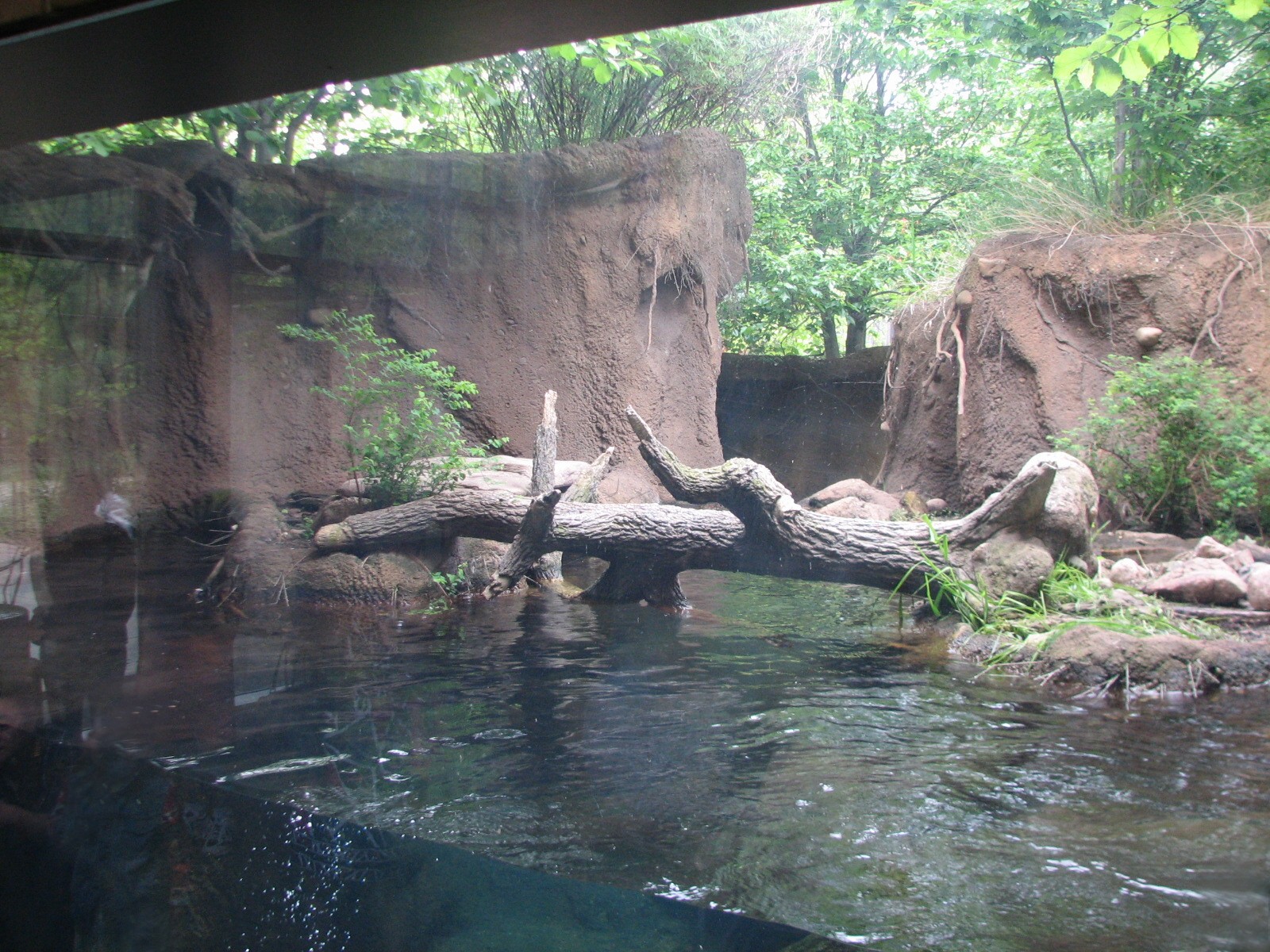 Childrens Zoo - River Otter Exhibit