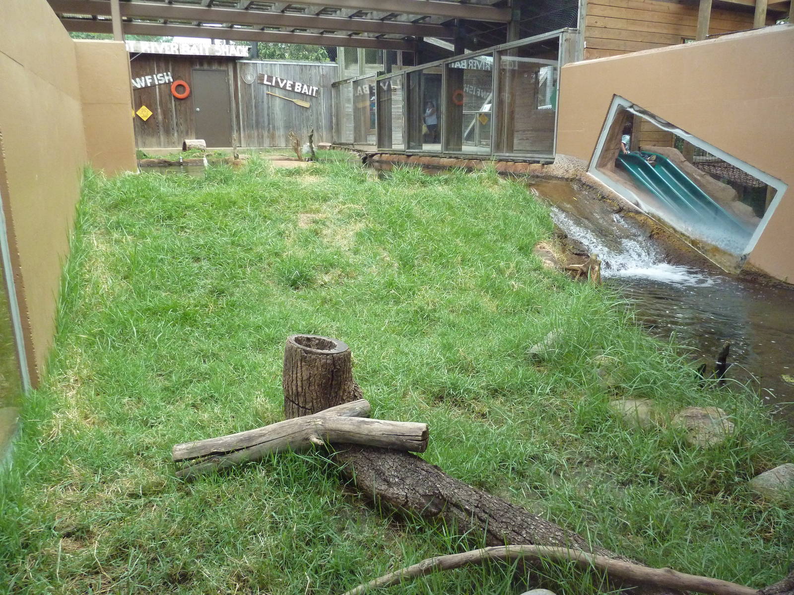 Children's Zoo - River Otter Exhibit