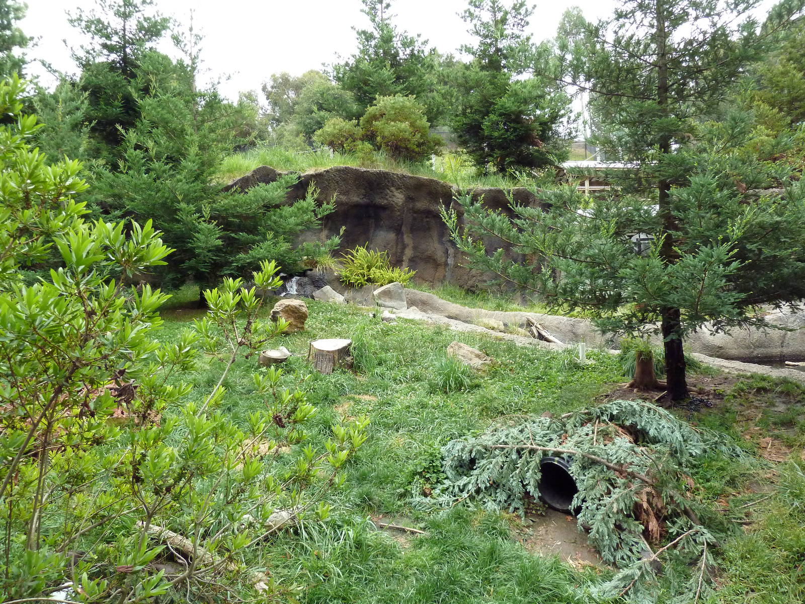 Children's Zoo - River Otter Exhibit