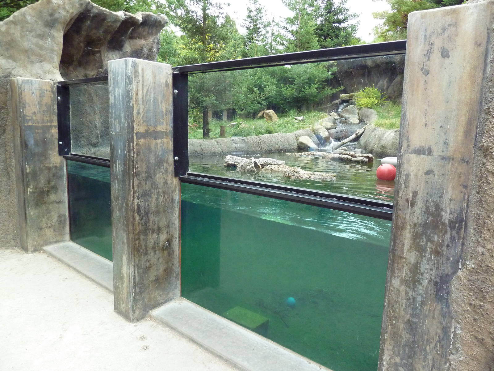 Children's Zoo - River Otter Exhibit