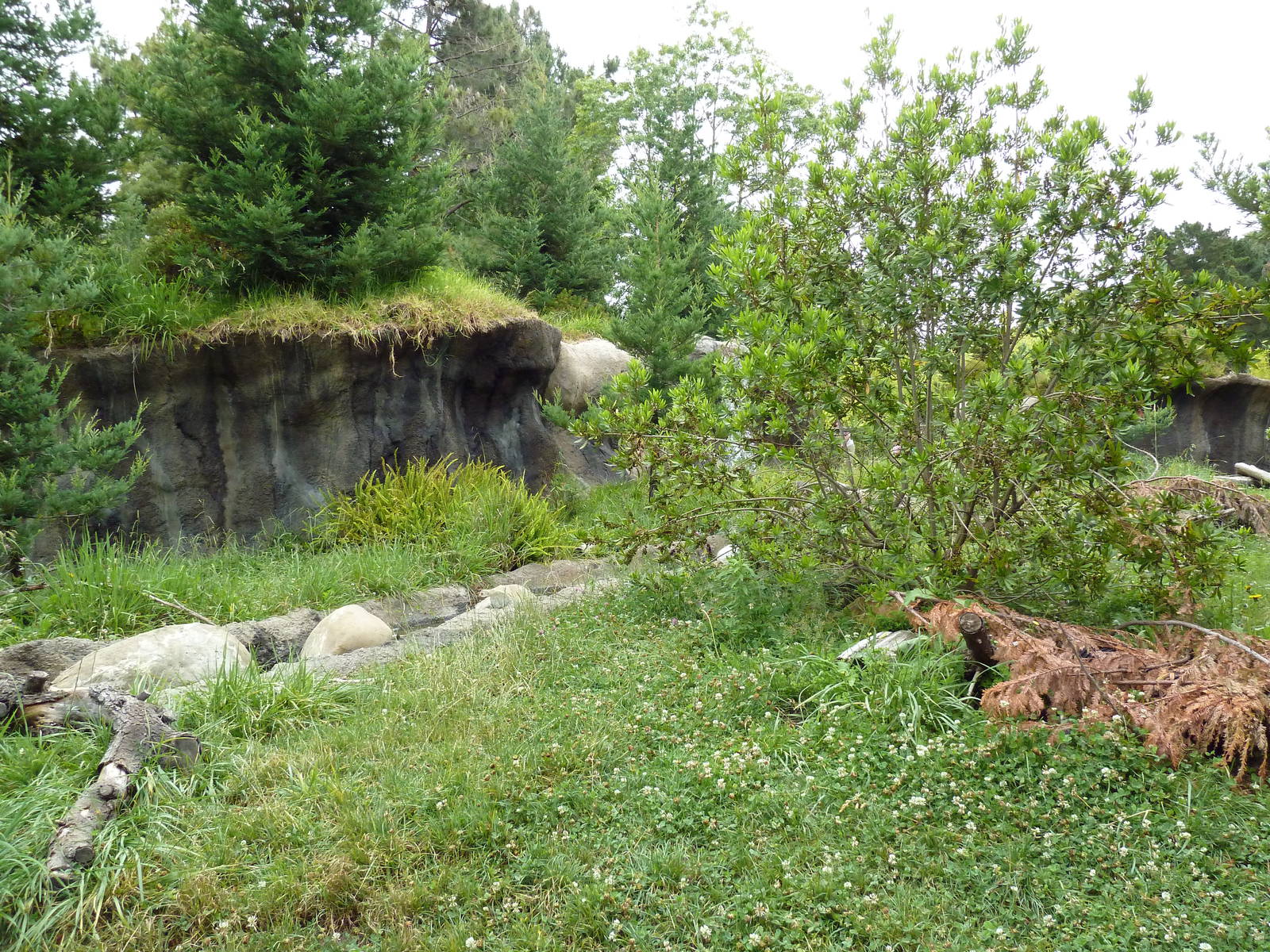 Children's Zoo - River Otter Exhibit