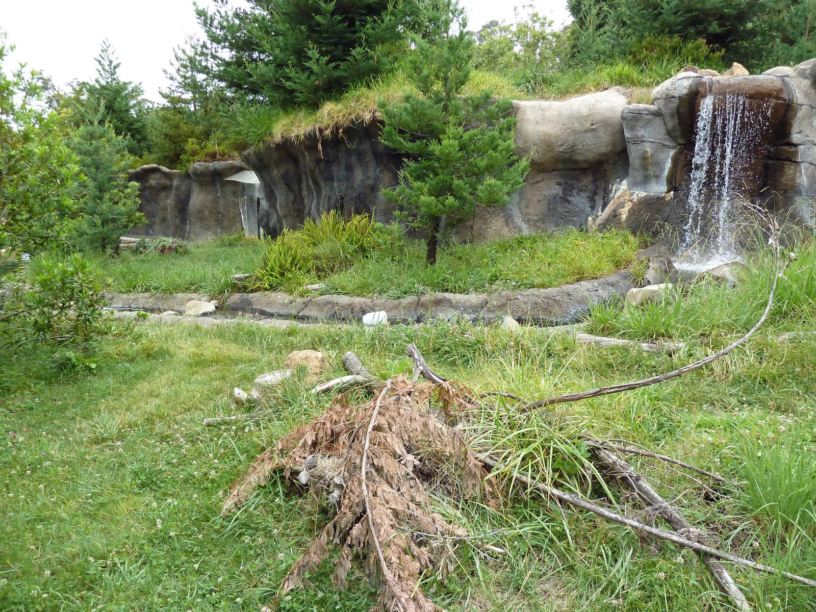 Children's Zoo - River Otter Exhibit