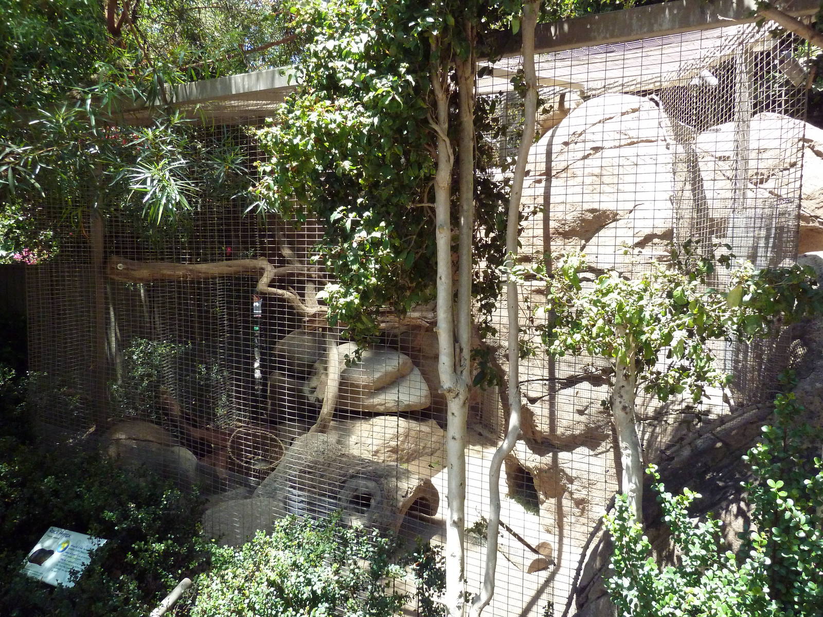 Children's Zoo - Rock Hyrax Exhibit