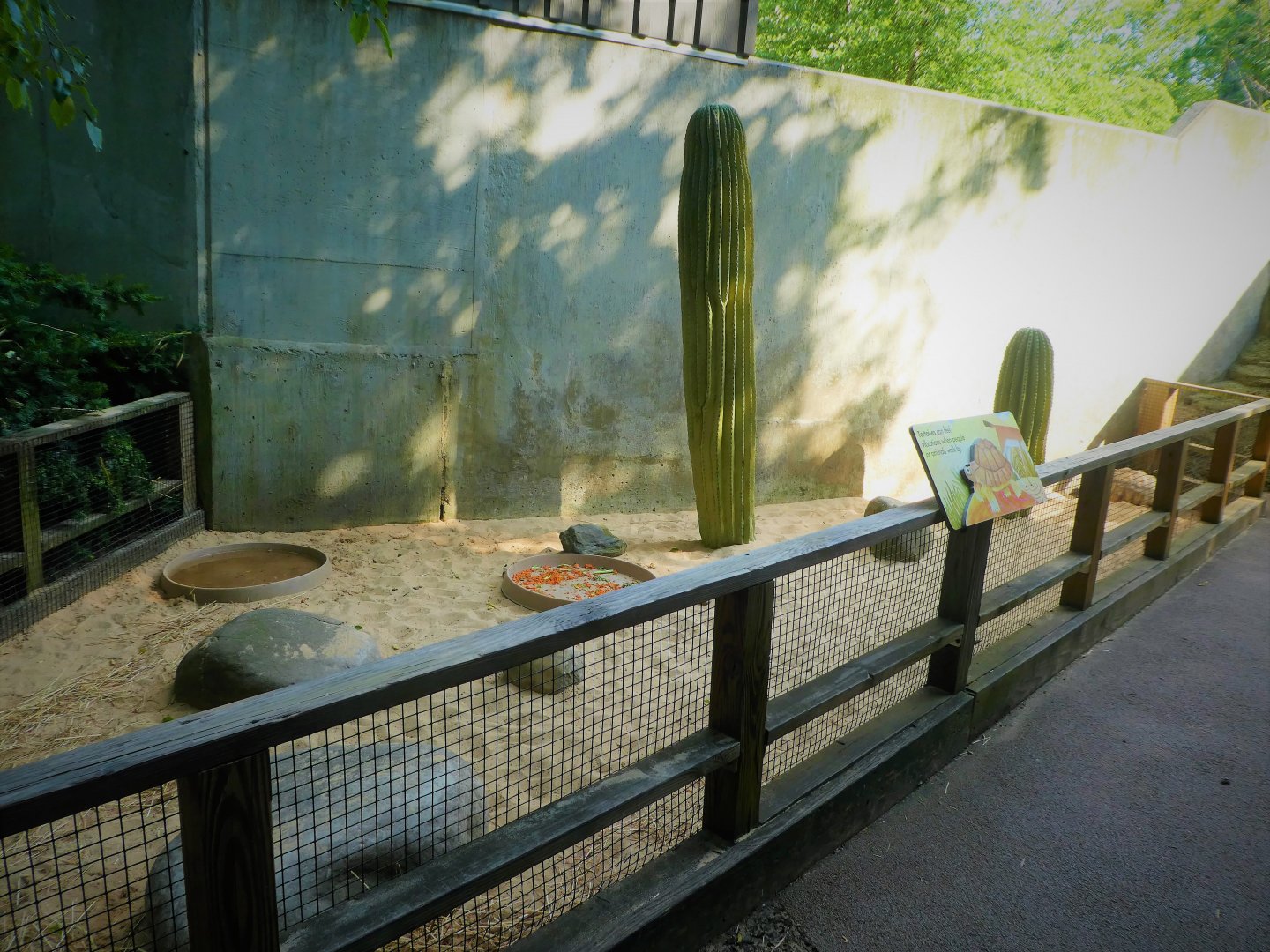 Children's Zoo - Senses - African Spurred Tortoise Exhibit