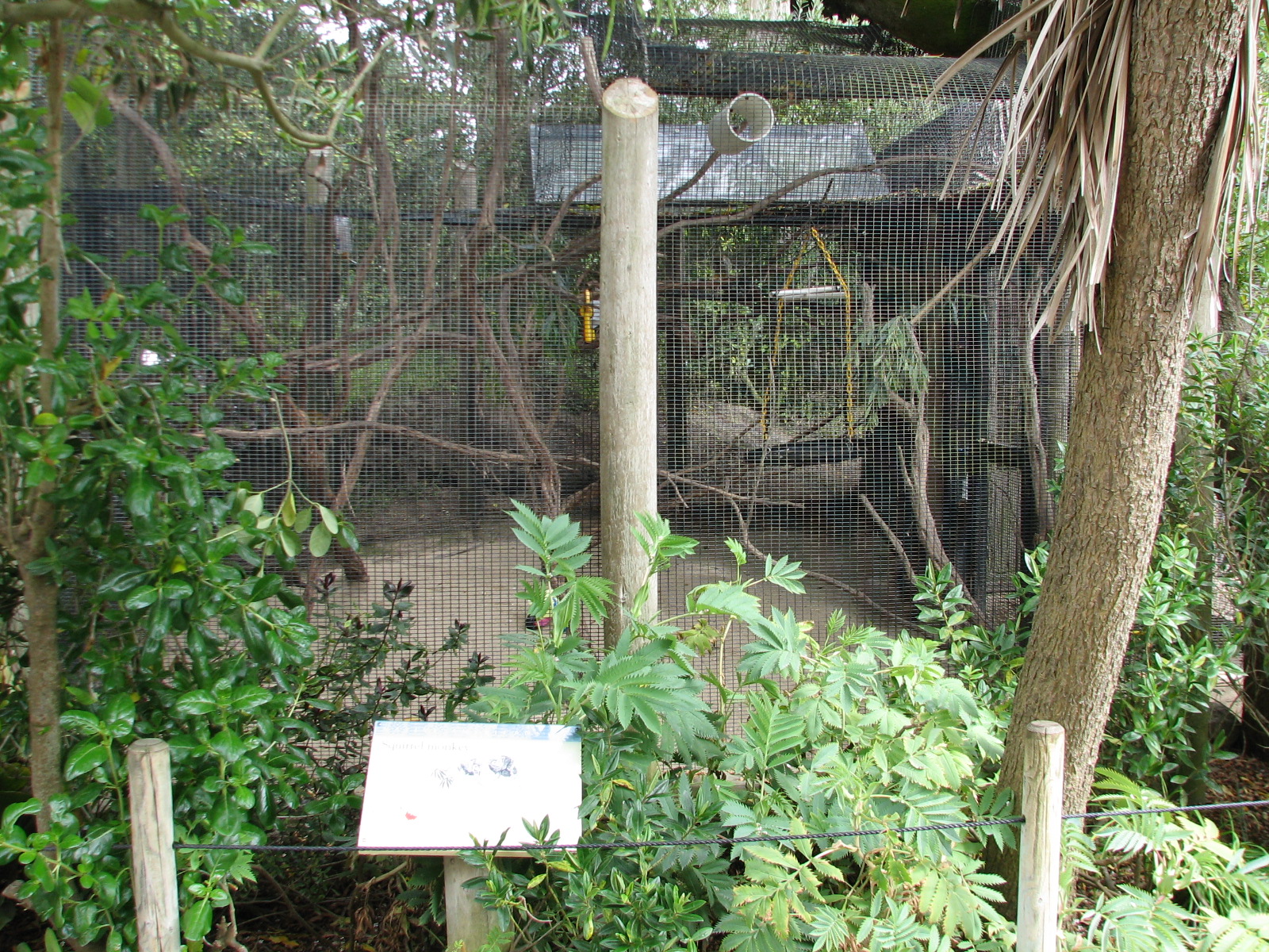 Childrens Zoo - Squirrel Monkey Exhibit