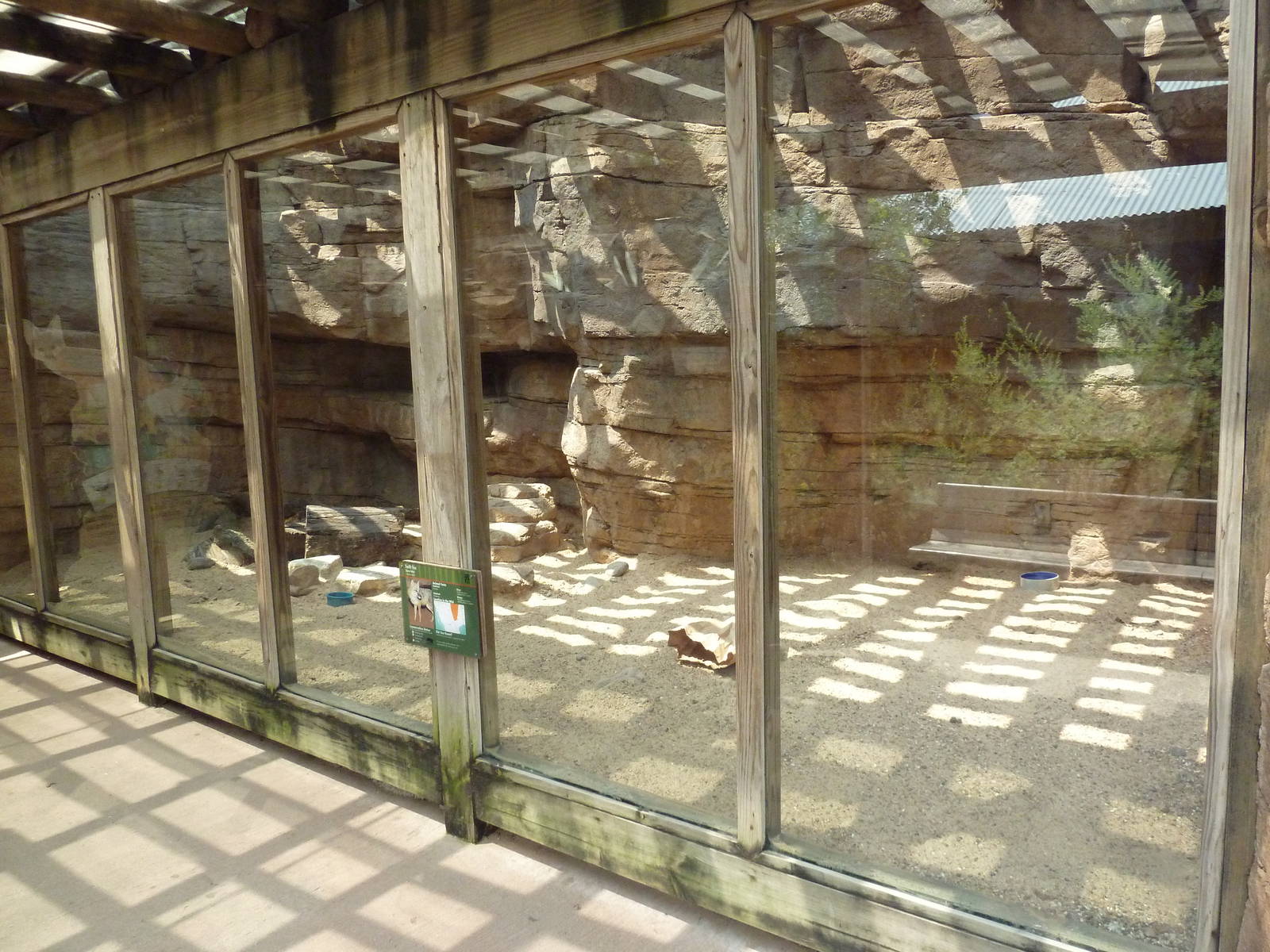 Children's Zoo - Swift Fox Exhibit