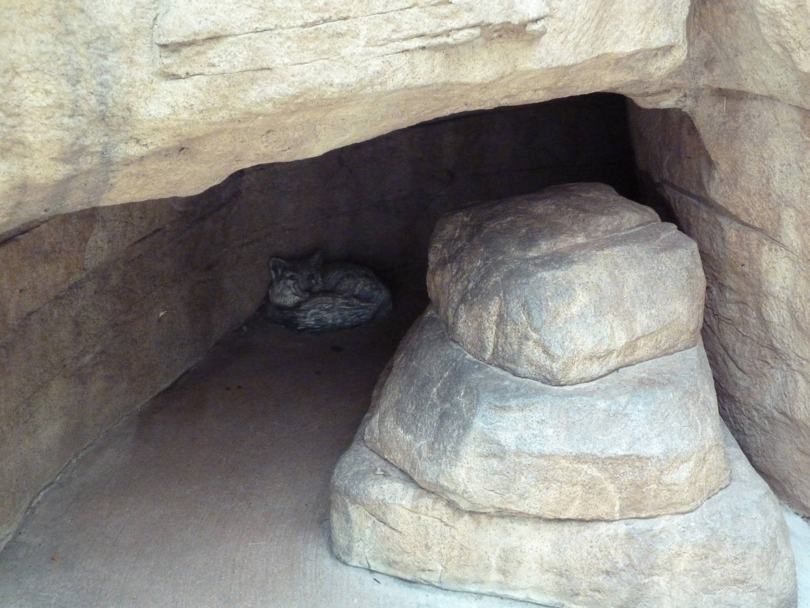 Children's Zoo - Swift Fox Statue