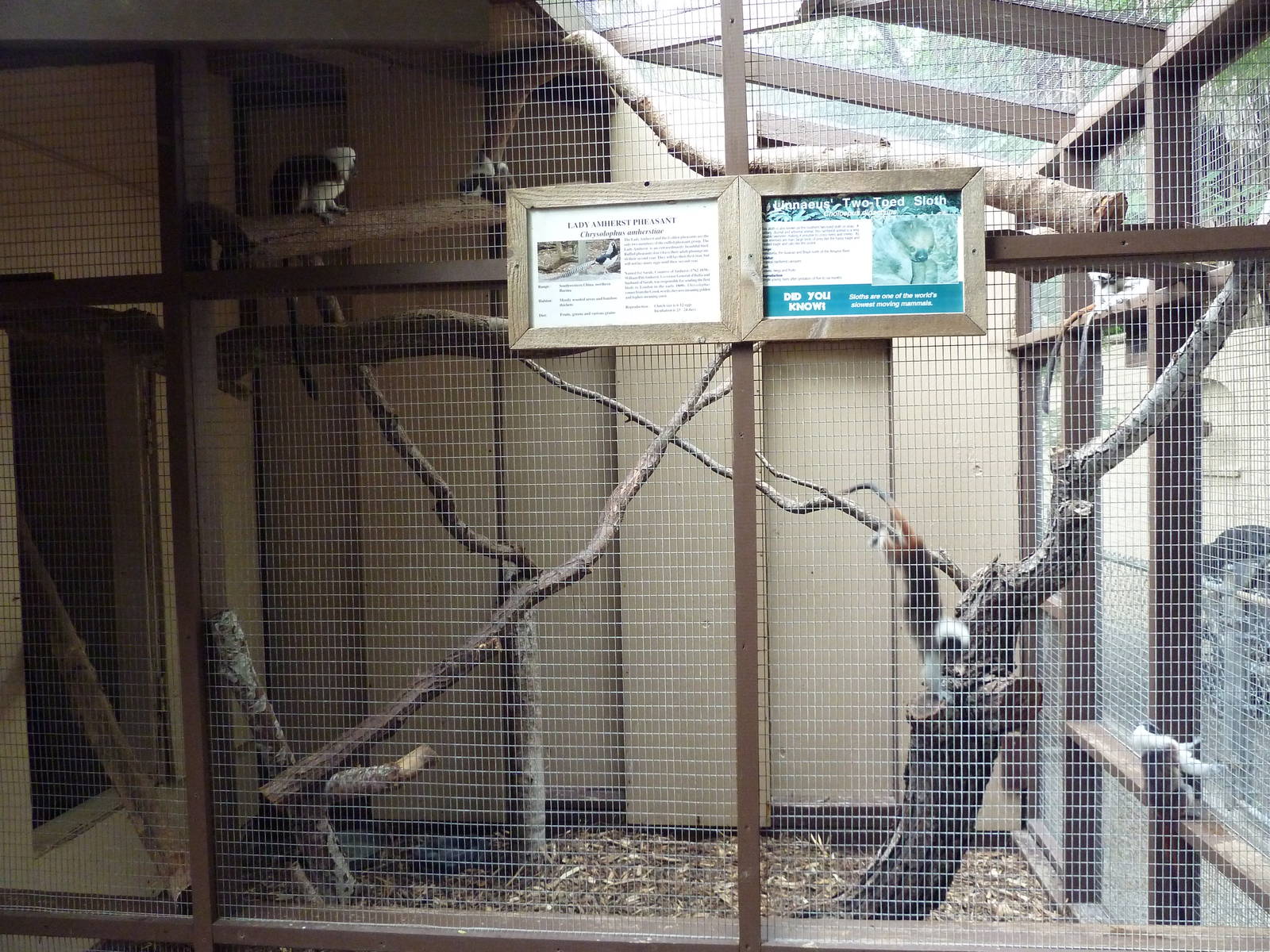 Children's Zoo - Tamarin/Sloth/Pheasant Exhibit