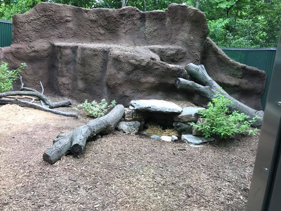 Children's Zoo- Tasmanian Devil