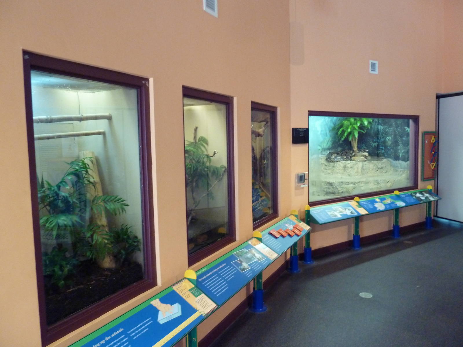 Children's Zoo - Terrariums (4 Species)