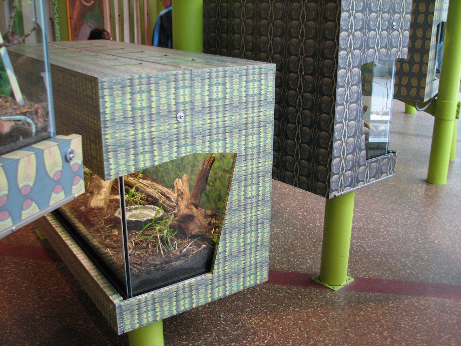 Childrens Zoo - Terrariums