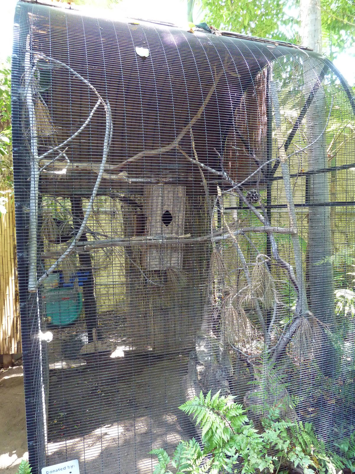 Children's Zoo - Thick-Billed Parrot Exhibit