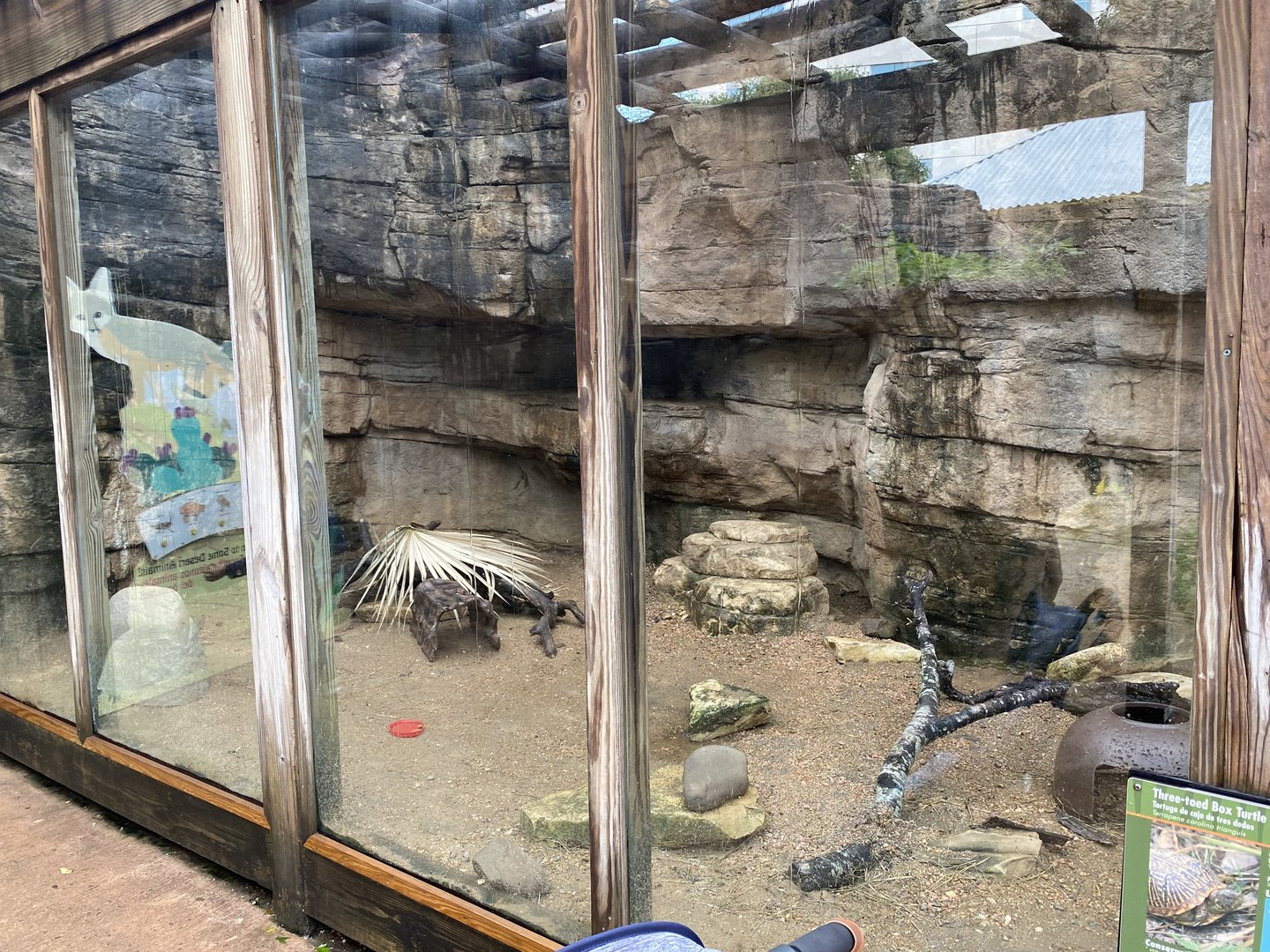 Children’s Zoo- Three-Toed Box Turtle Enclosure