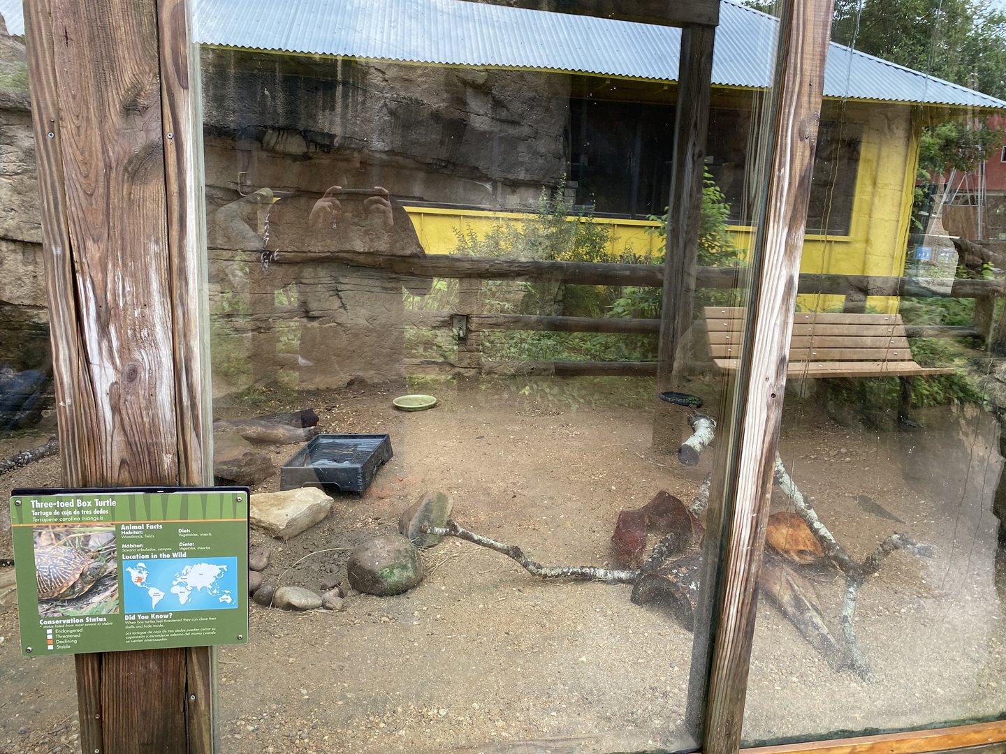 Children’s Zoo- Three-Toed Box Turtle Enclosure