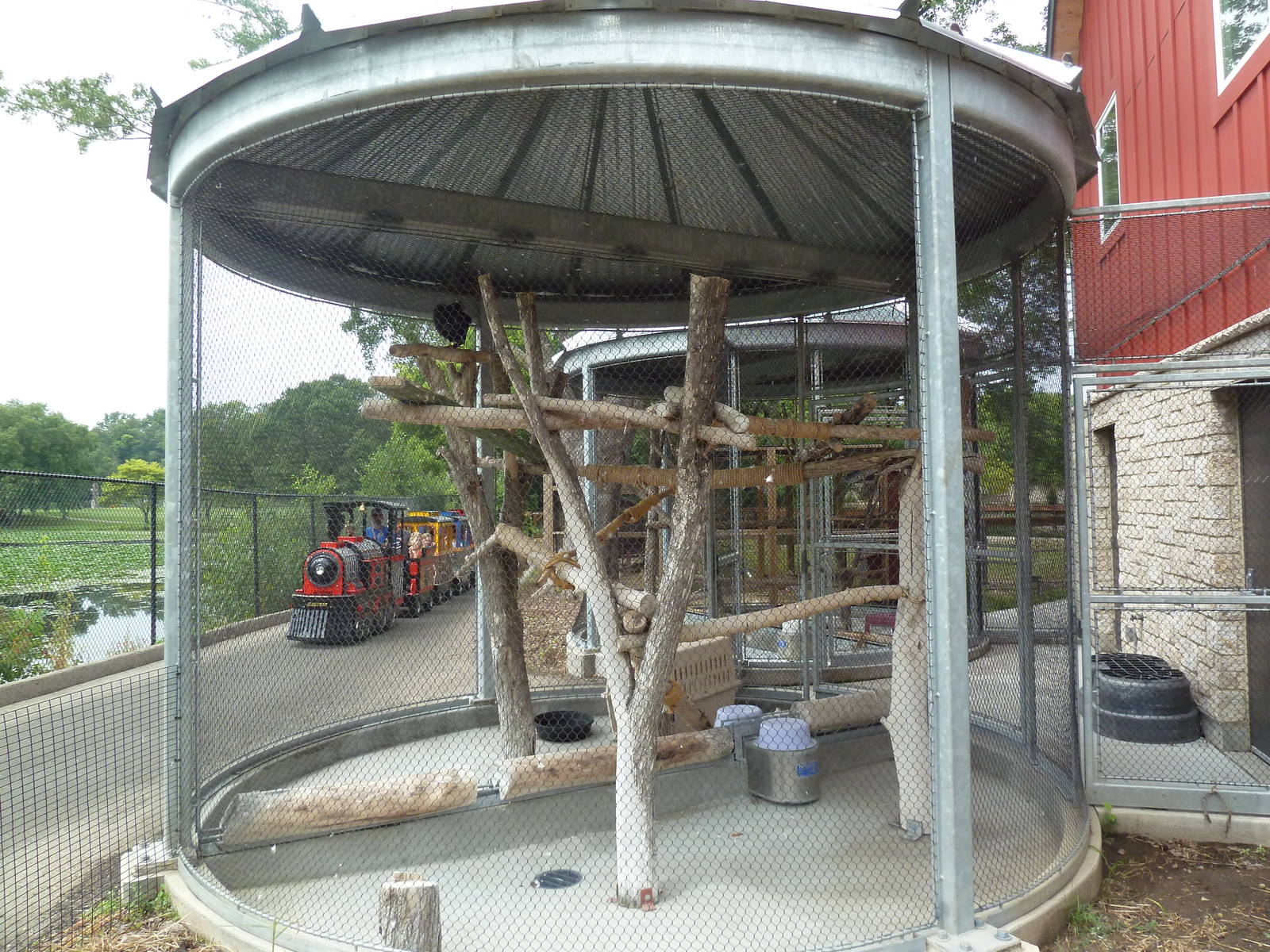 Children's Zoo - Turkey Vulture Exhibit + Zoo Train