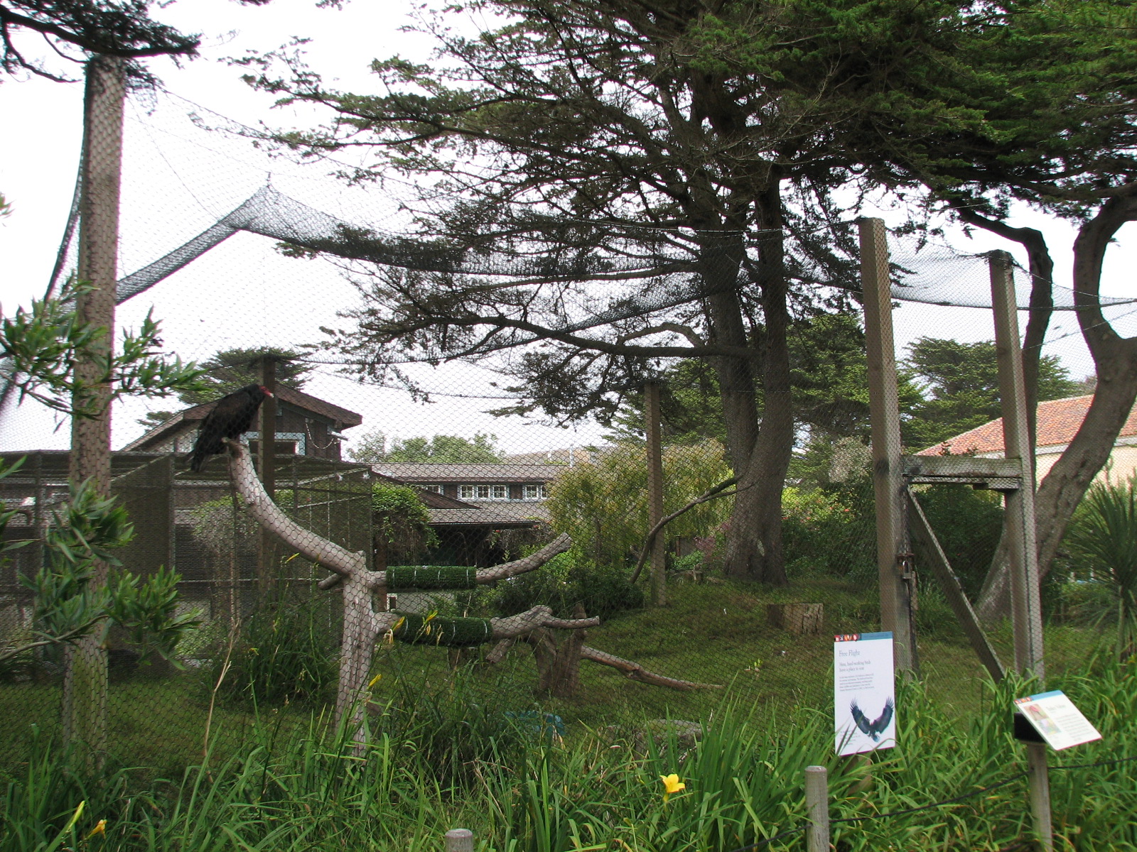 Childrens Zoo - Turkey Vulture Exhibit